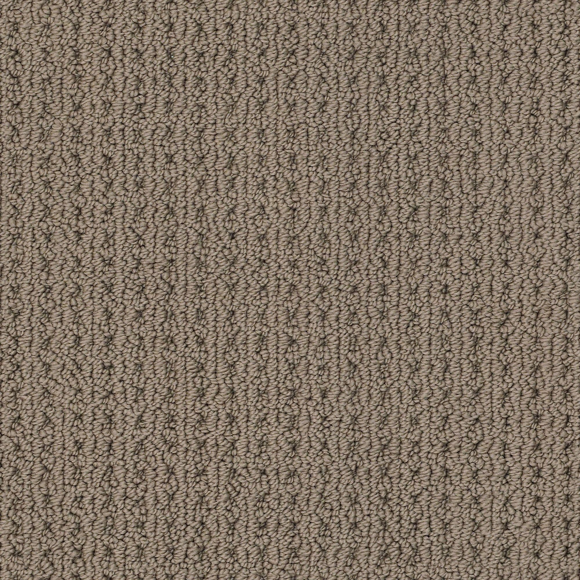 STAINMASTER 7L87400777 Revitalized Homestead Brown 34.1-oz sq yard Nylon Level loop Indoor Carpet