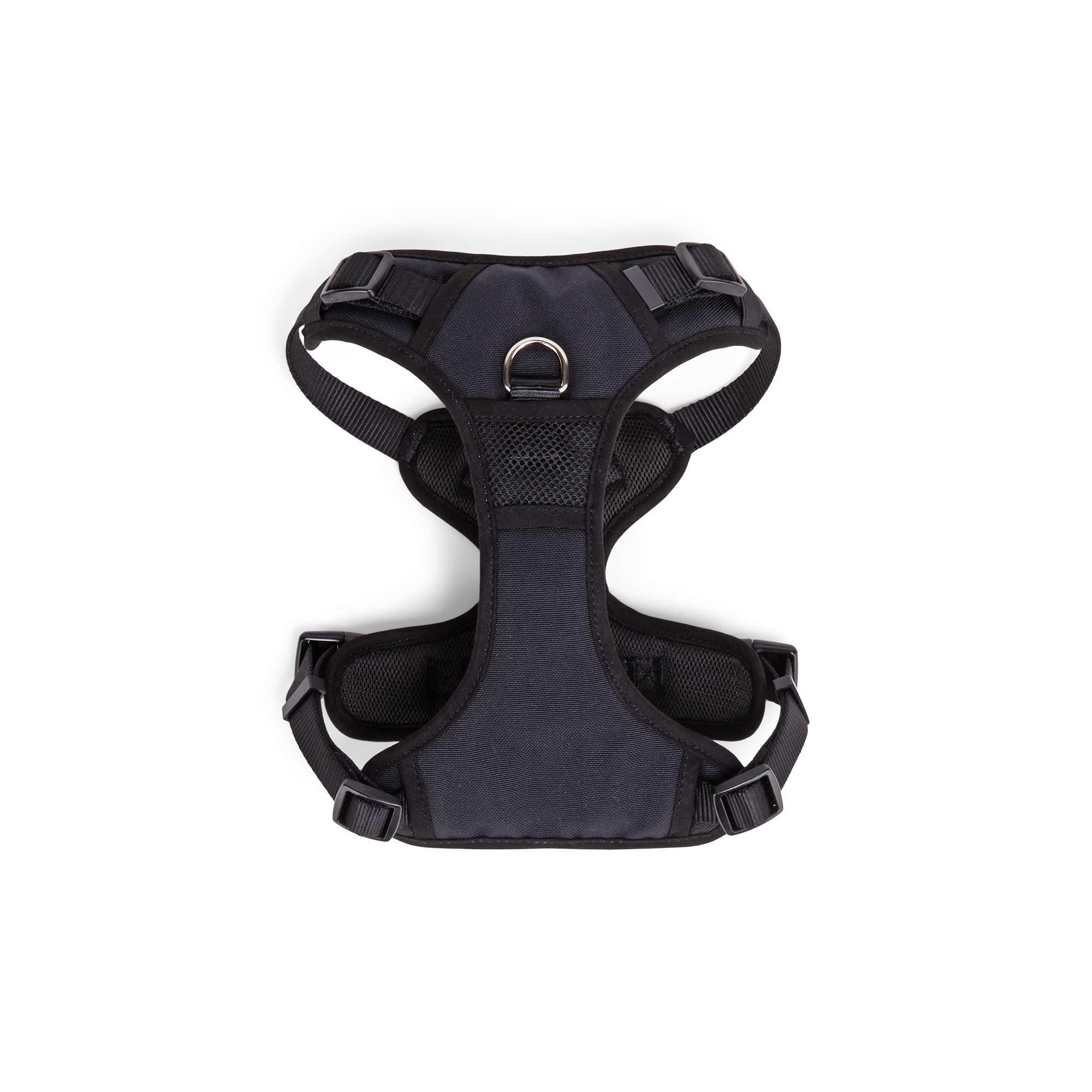 EveryYay 3936496 Dog-Collars-Harnesses - View #3
