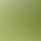 POPPY GREEN
