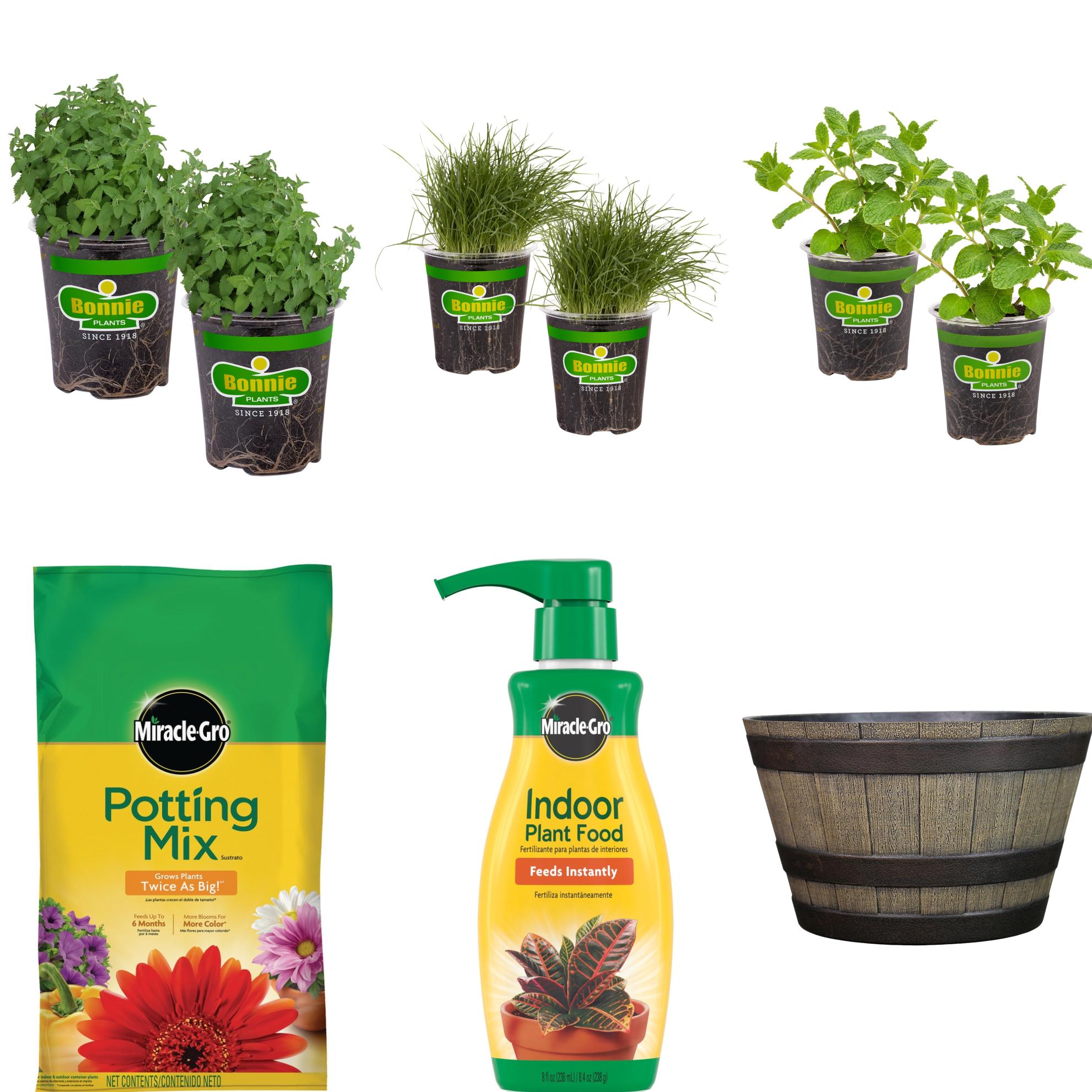 Bonnie Plants  Pet-Friendly Herb Garden: Catnip, Pet Grass & Sweet Mint for Safe, Happy Pets