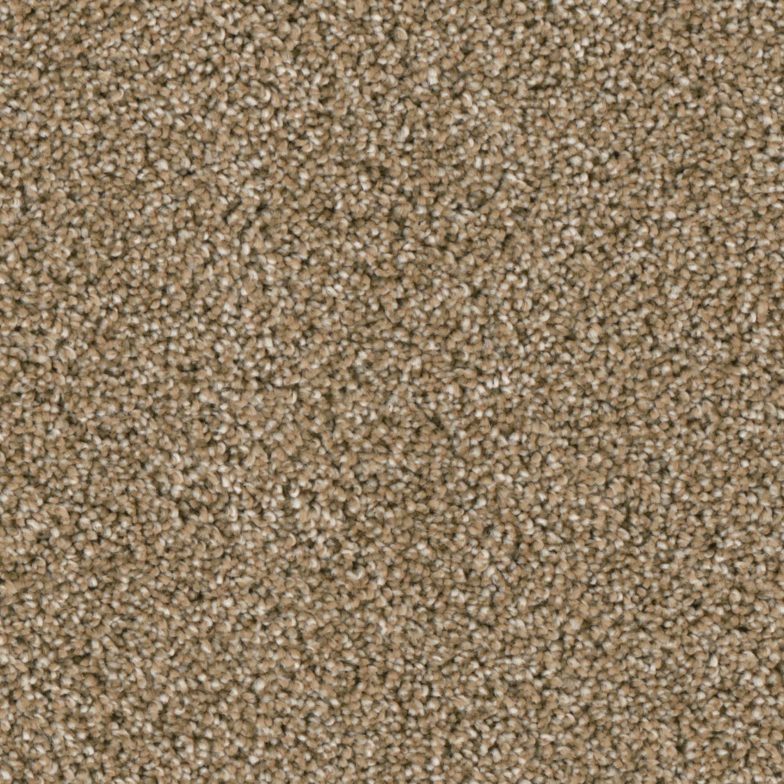 (Sample) Lenox Park Victorian Textured Indoor Carpet | - STAINMASTER S9255-733-S