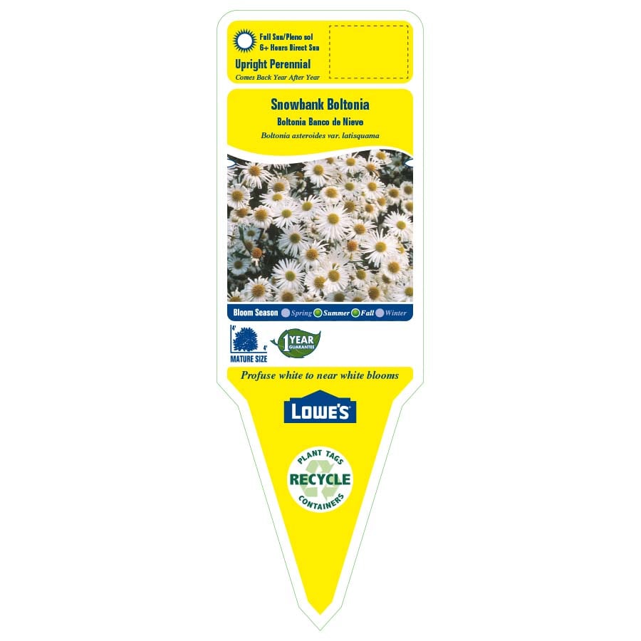 Lowe's 442532 perennials - View #2