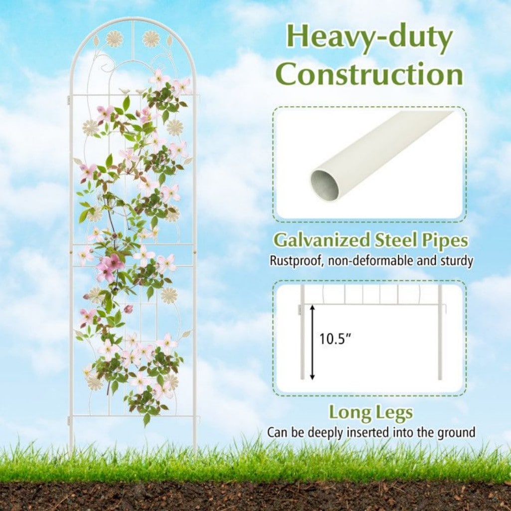 AHIOU HOME ZAAHD-HQRCX7GT Garden-Trellis - View #9