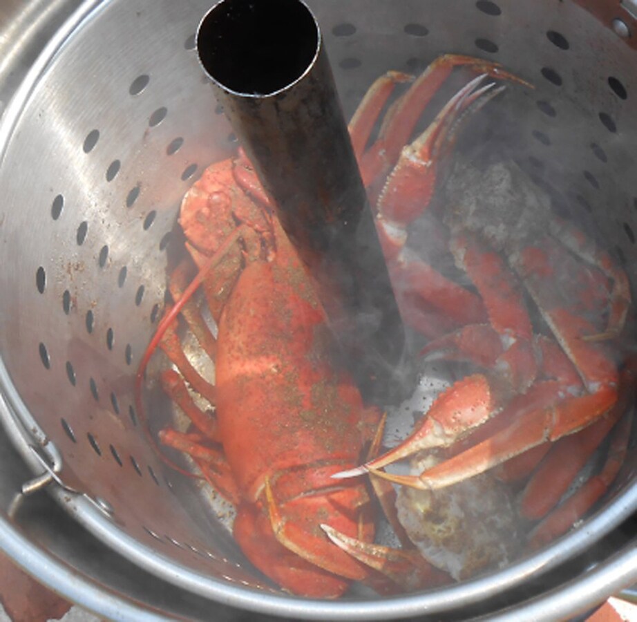 King Kooker 24 qt. Stainless Steel Stock Pot with Basket and Steam Rim at  Tractor Supply Co.