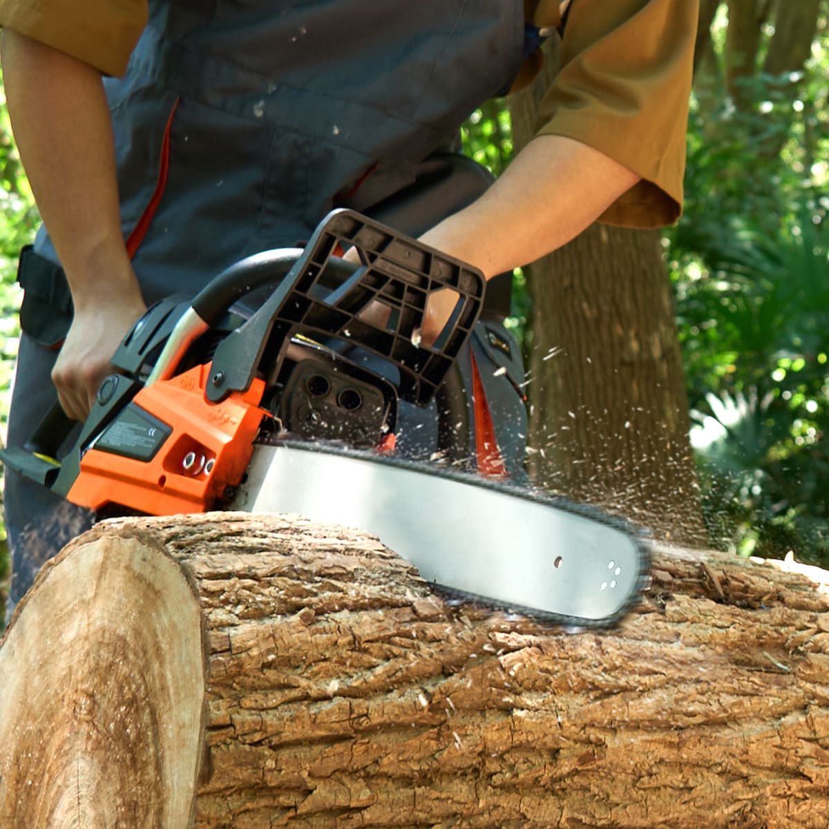 Loheer T3342P433814 Cordless-Chainsaw - View #4