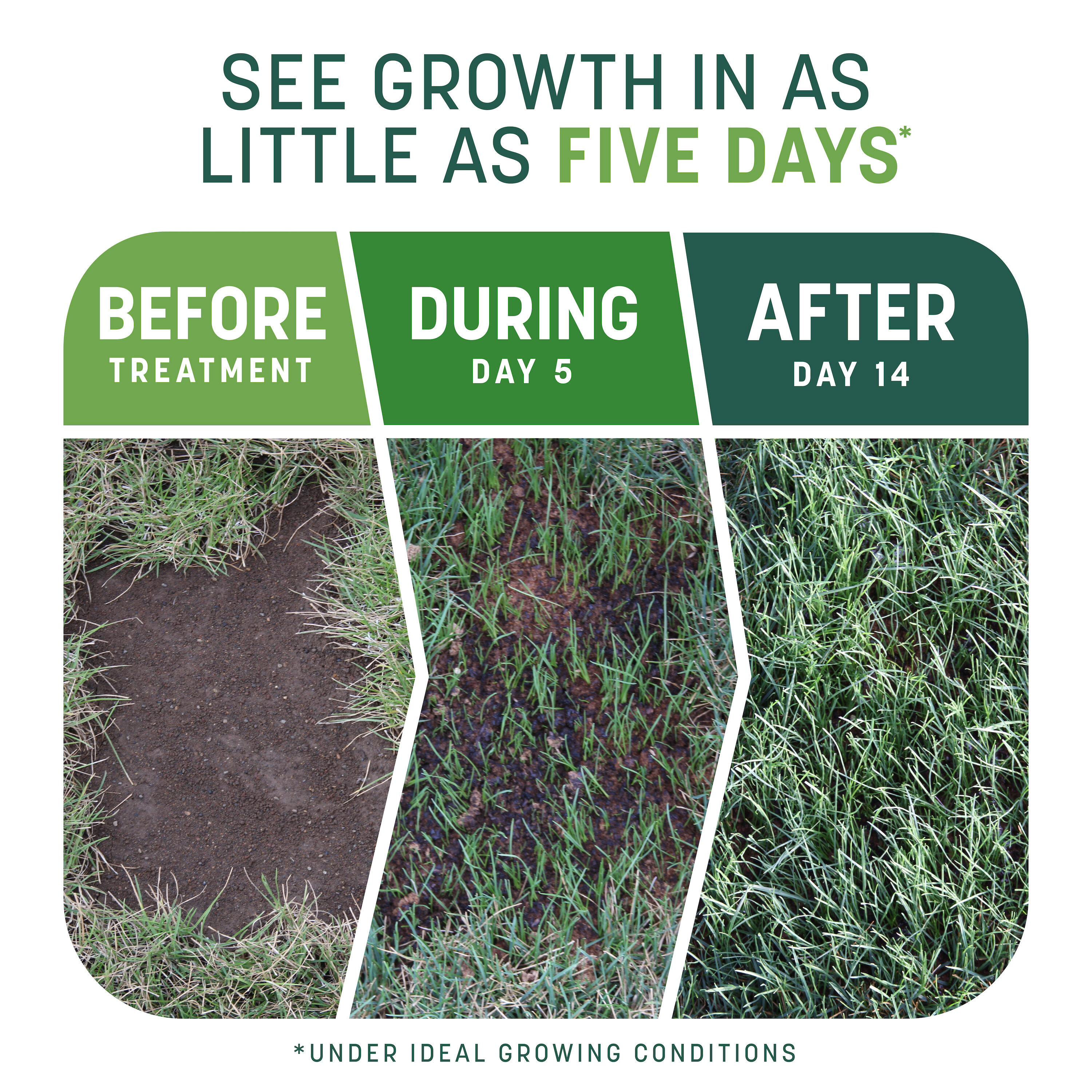 Pennington 100545664 Lawn-Repair-Mix - View #2