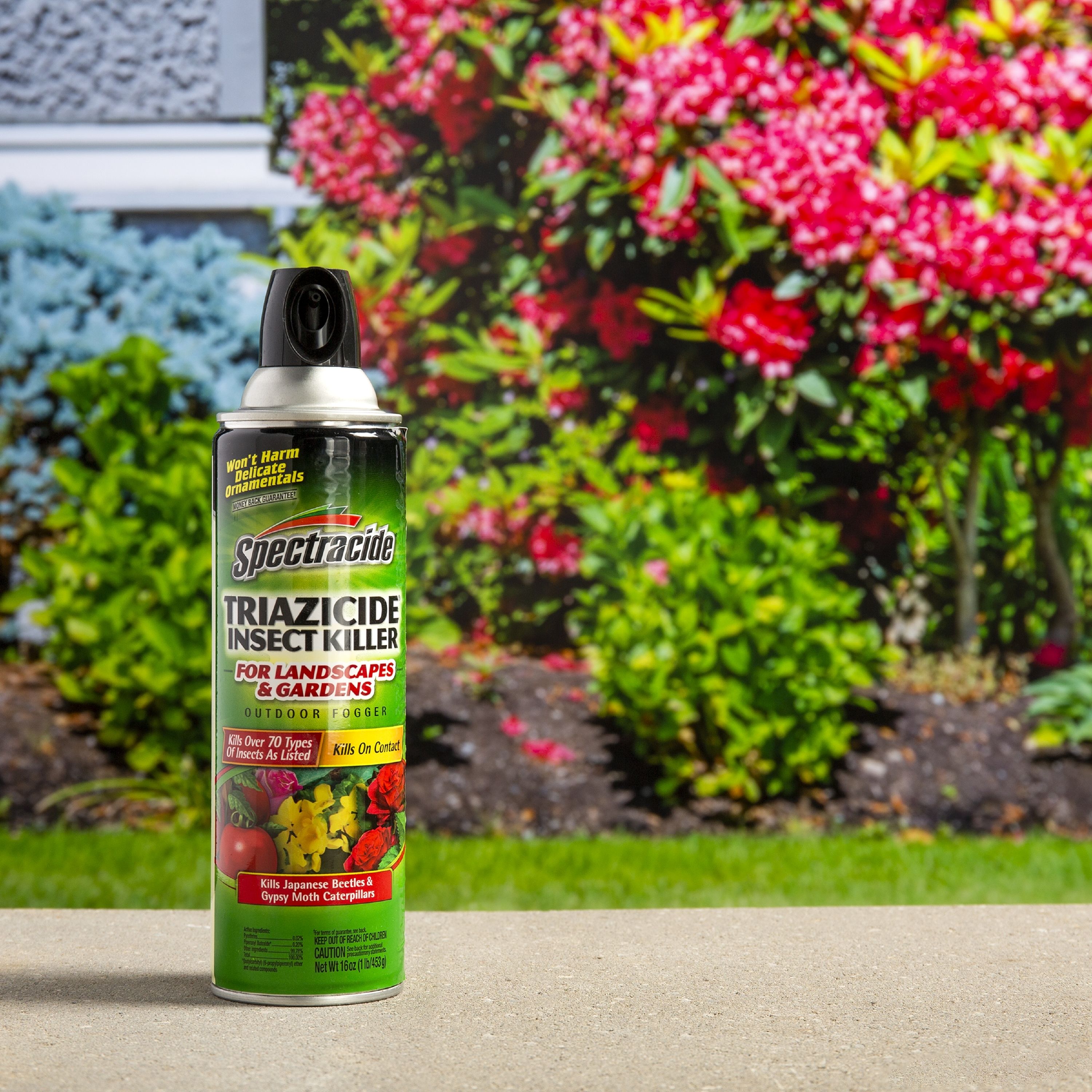 Spectracide Triazicide For Landscapes and Gardens 16-oz Garden Insect  Killer Aerosol in the Pesticides department at