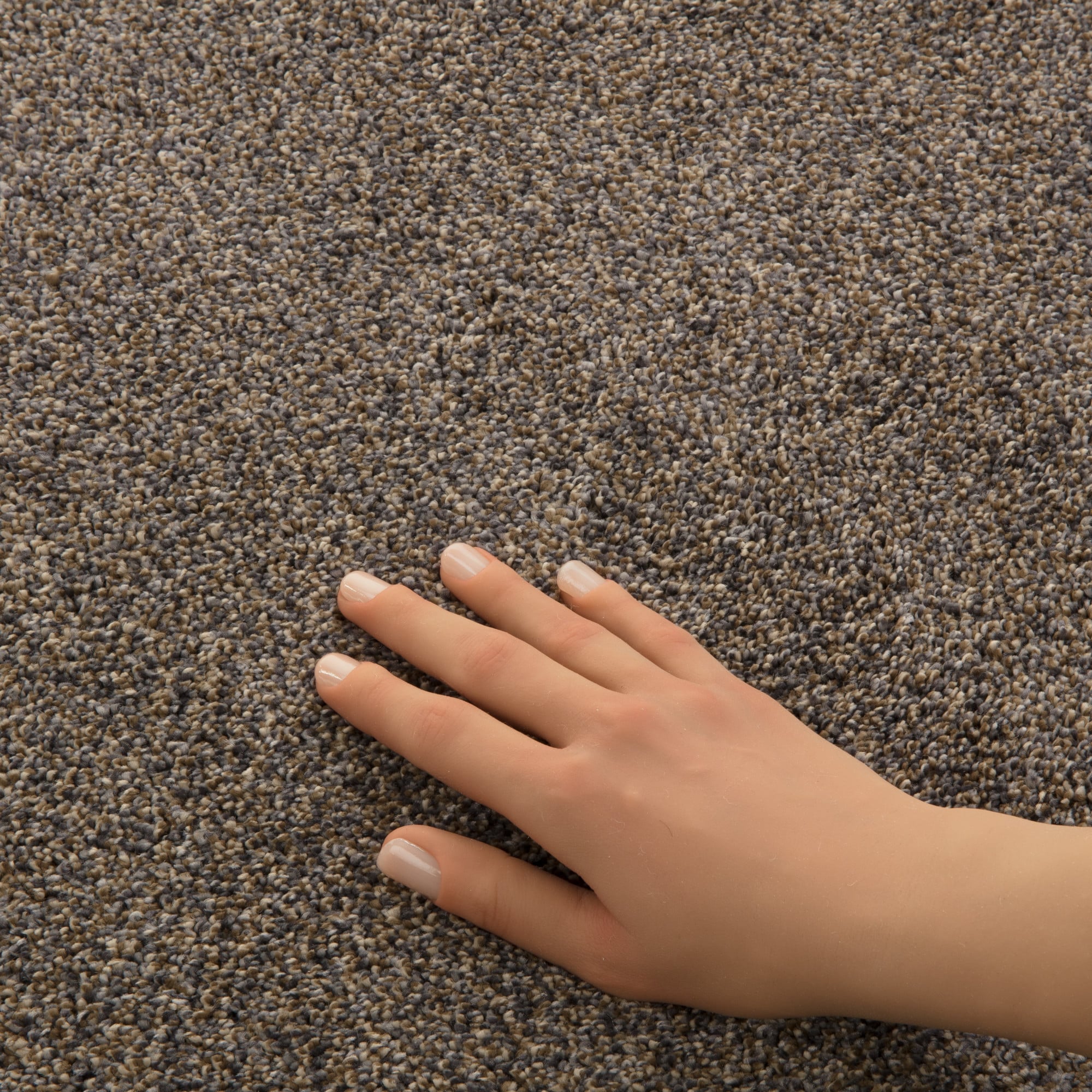 STAINMASTER PetProtect 7L930-266-SAMP Carpet-Samples - View #8