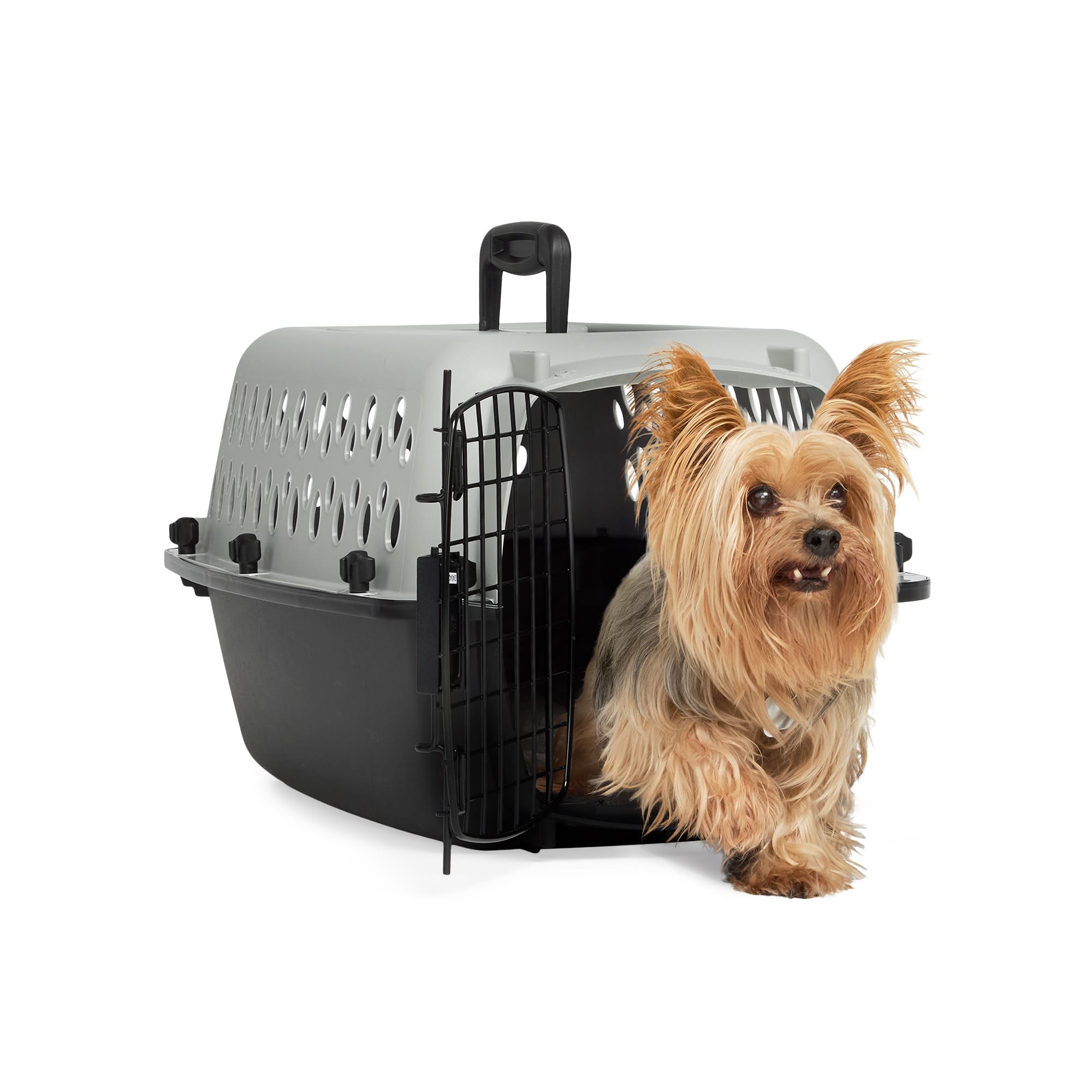 EveryYay  Portable Plastic Pet Kennel 19inch L X 13inch W X 11inch H Grey