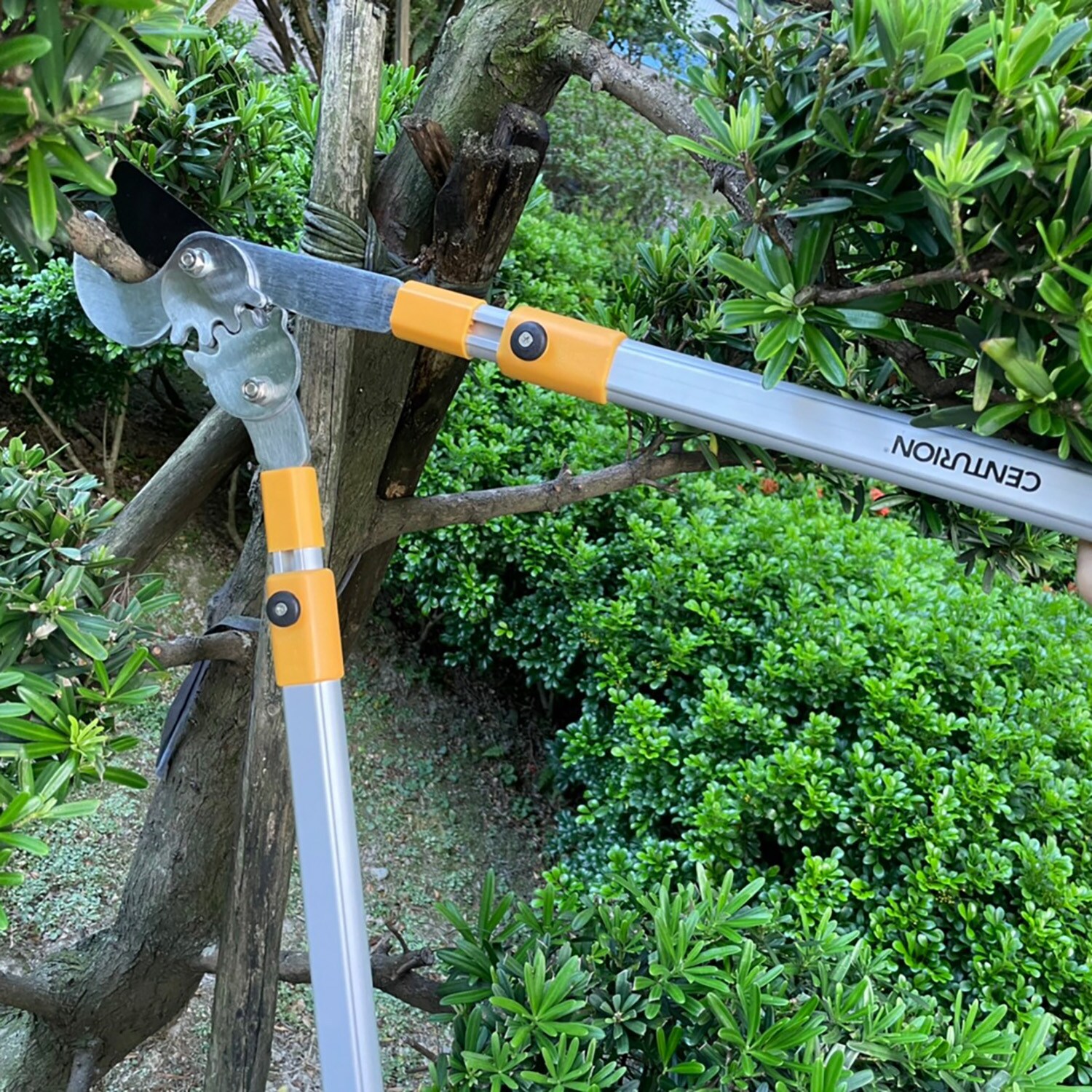 Centurion 76 Speciality-Garden-Hand-Tools - View #8