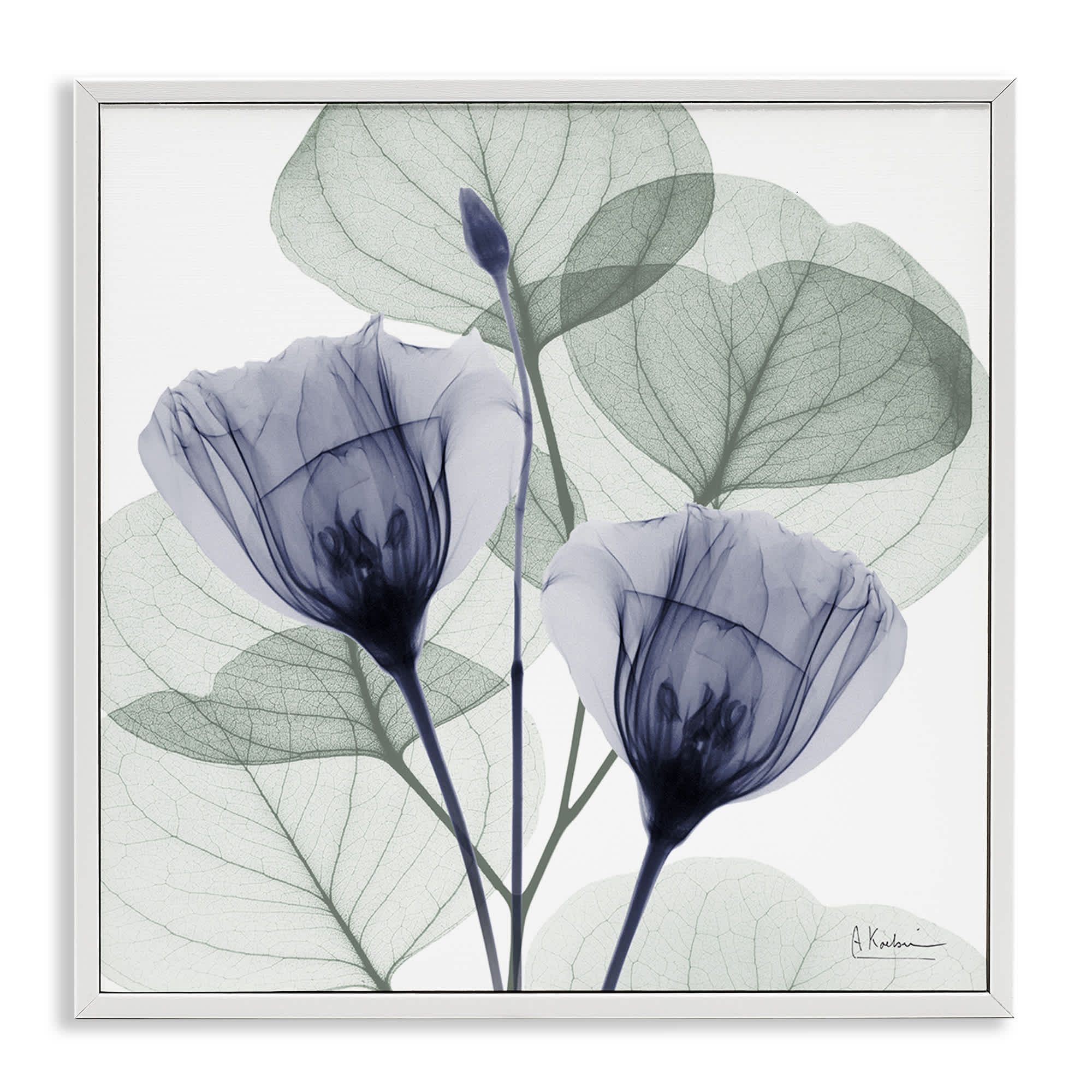 Stupell Industries BS-023-WFR-24X24 Contemporary Eucalyptus and Herbs White Framed Giclee Art By Albert Koetsier 24 x 24