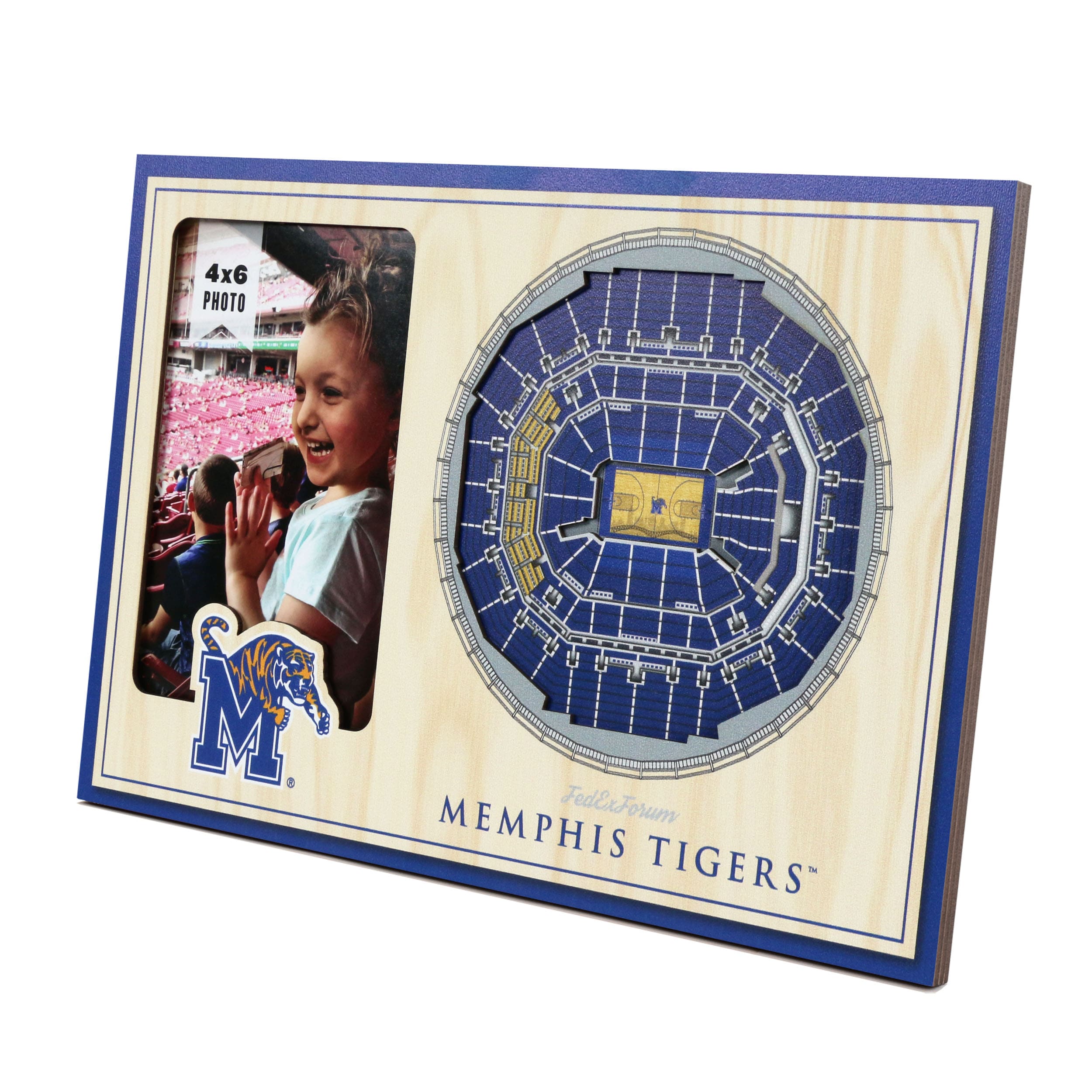 StadiumViews 8492642 Team Colors Wood Picture Frame (8-in x 12-in)