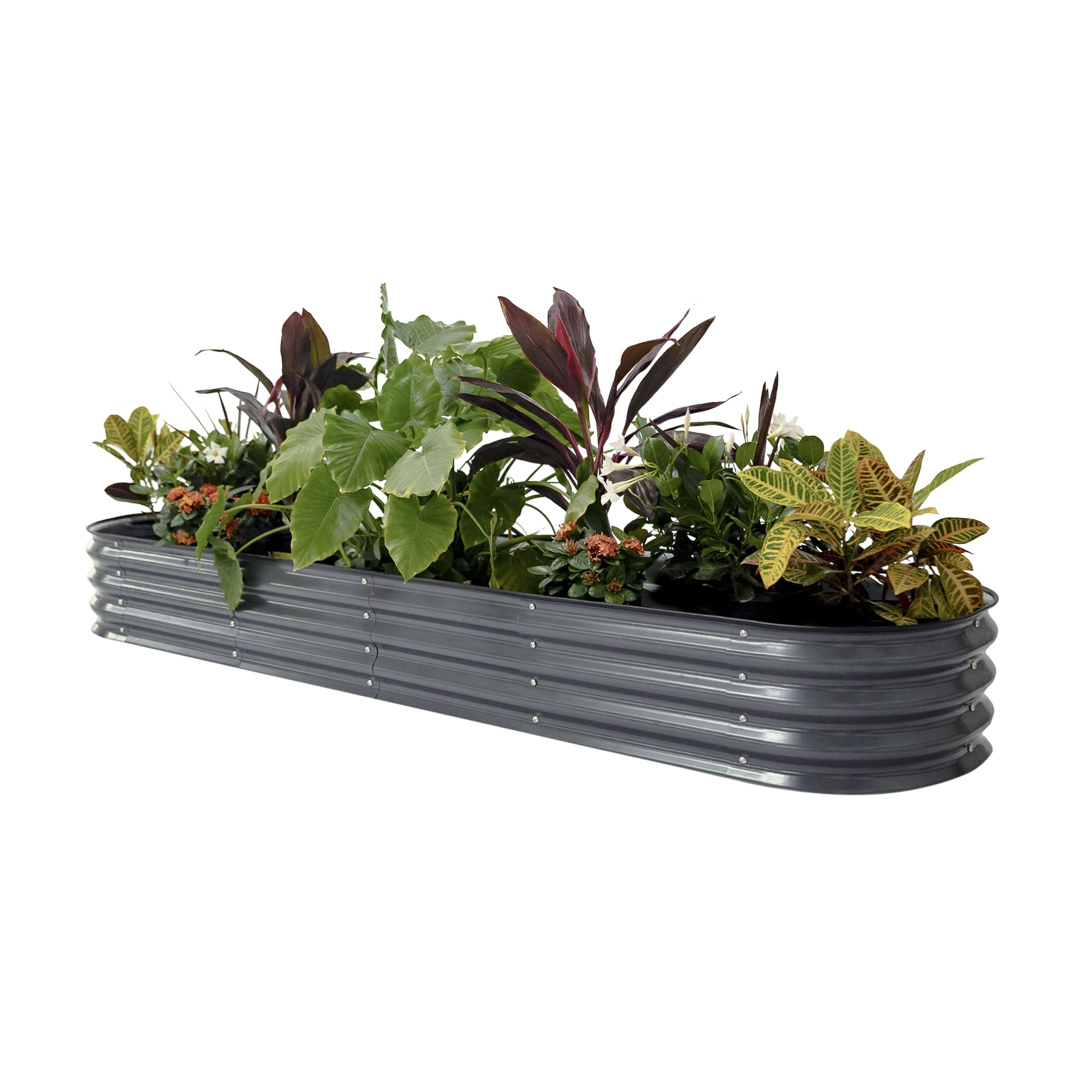 Vego Garden VB9N111MG 21-cu ft 42-in W x 78-in L x 11-in H Modern Gray Galvanized Metal Raised Garden Bed