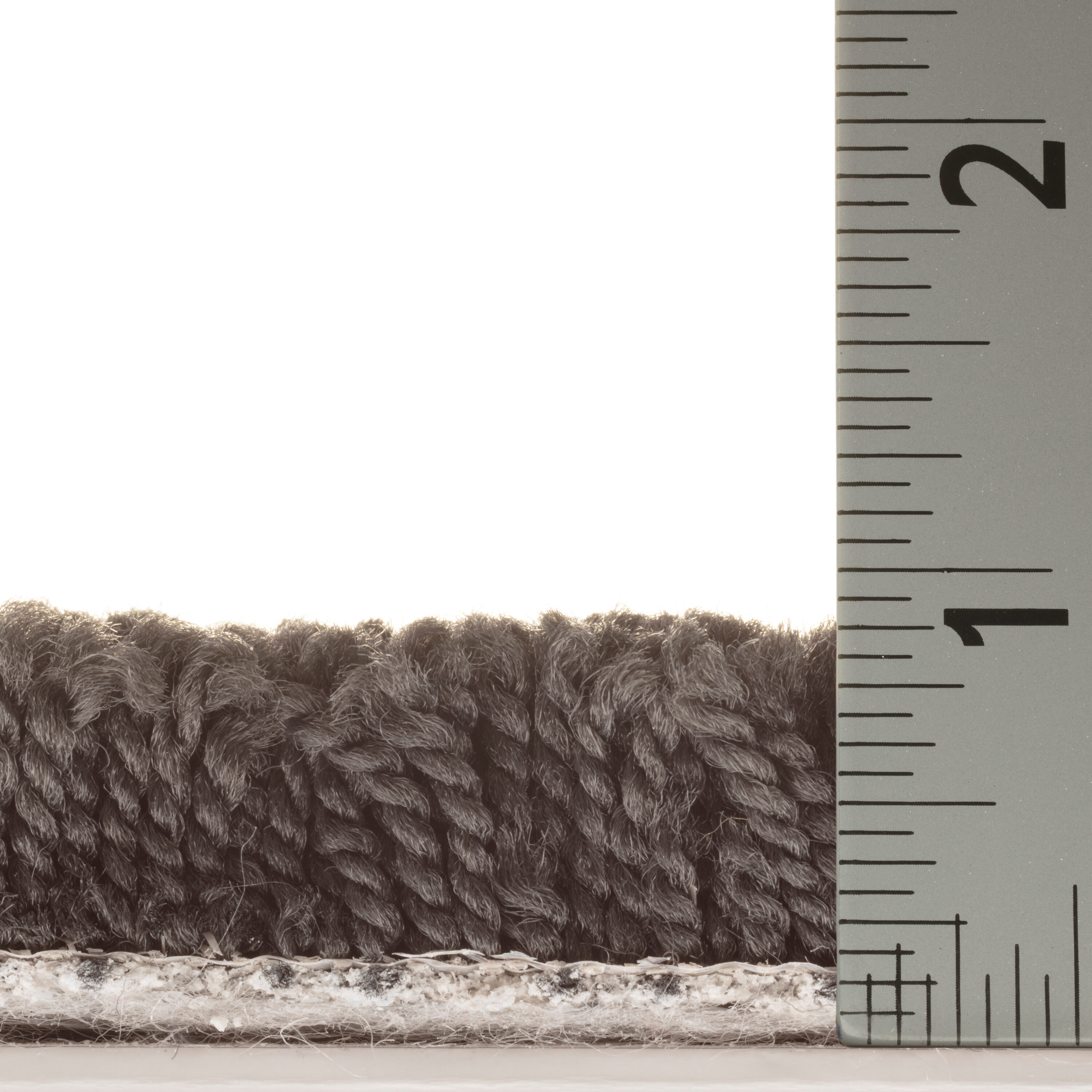 STAINMASTER PetProtect 7L88300503 Carpet-Panel - View #6