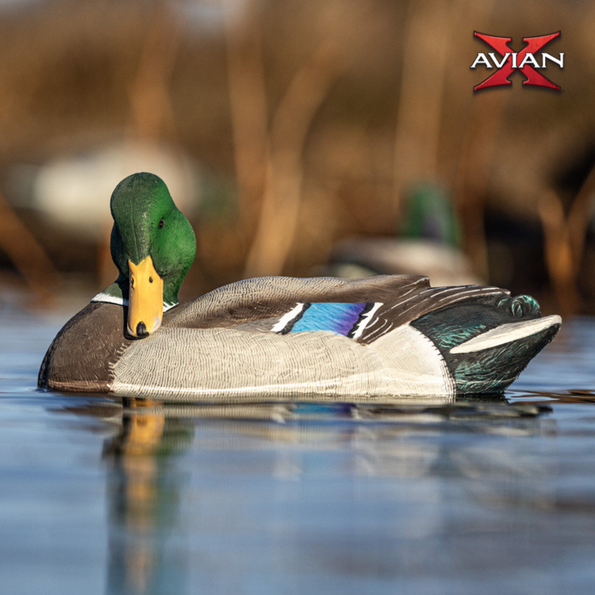 Avian X AVX-PSH-MDPR Hunting-Equipment - View #5
