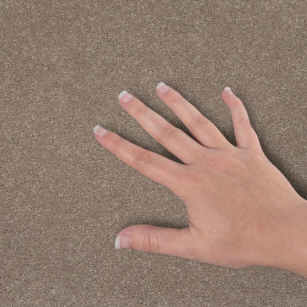 STAINMASTER SS030-L005-0808 Carpet-Samples - View #4