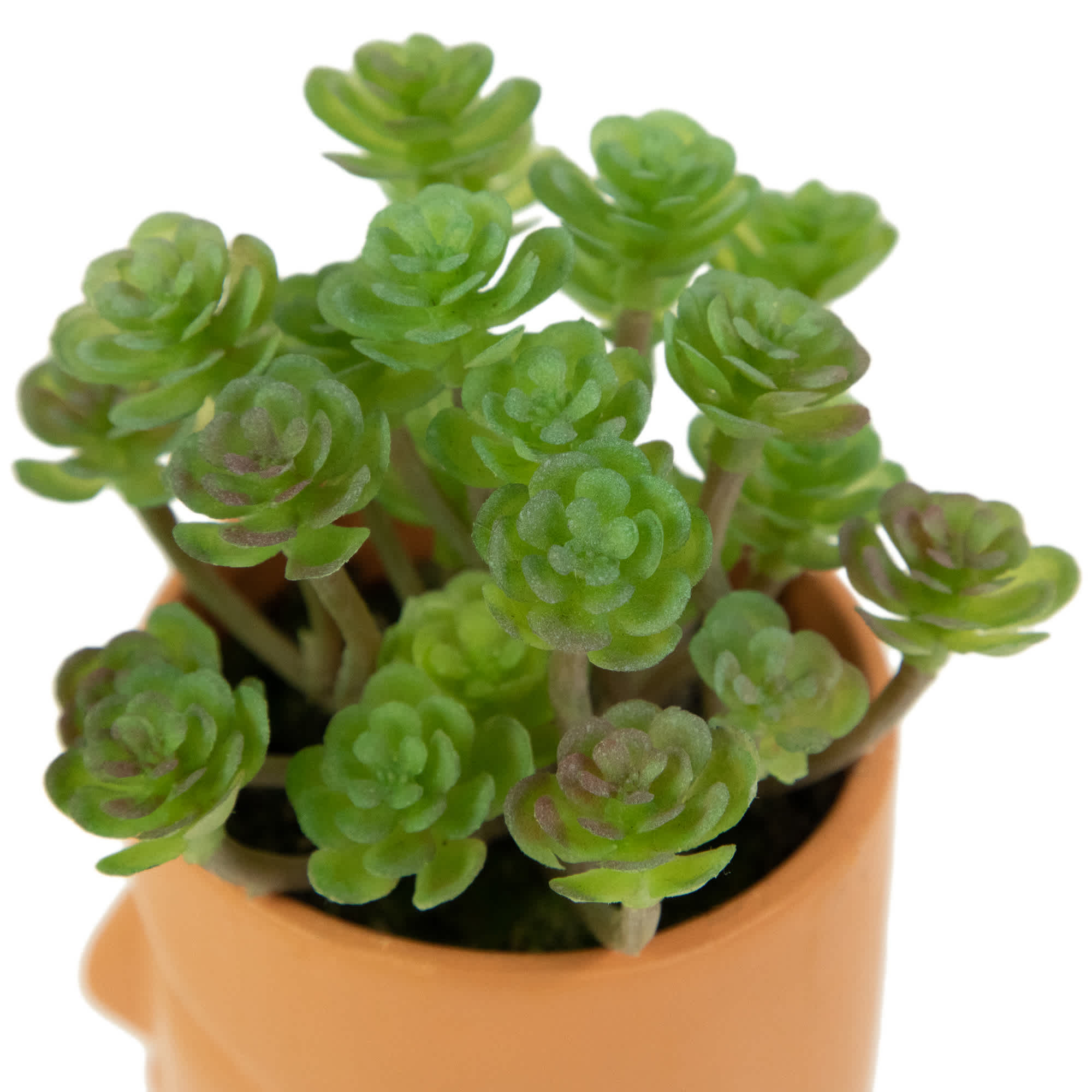 Northlight NORTHLIGHT HF94686 Artificial-Plants-Trees - View #6