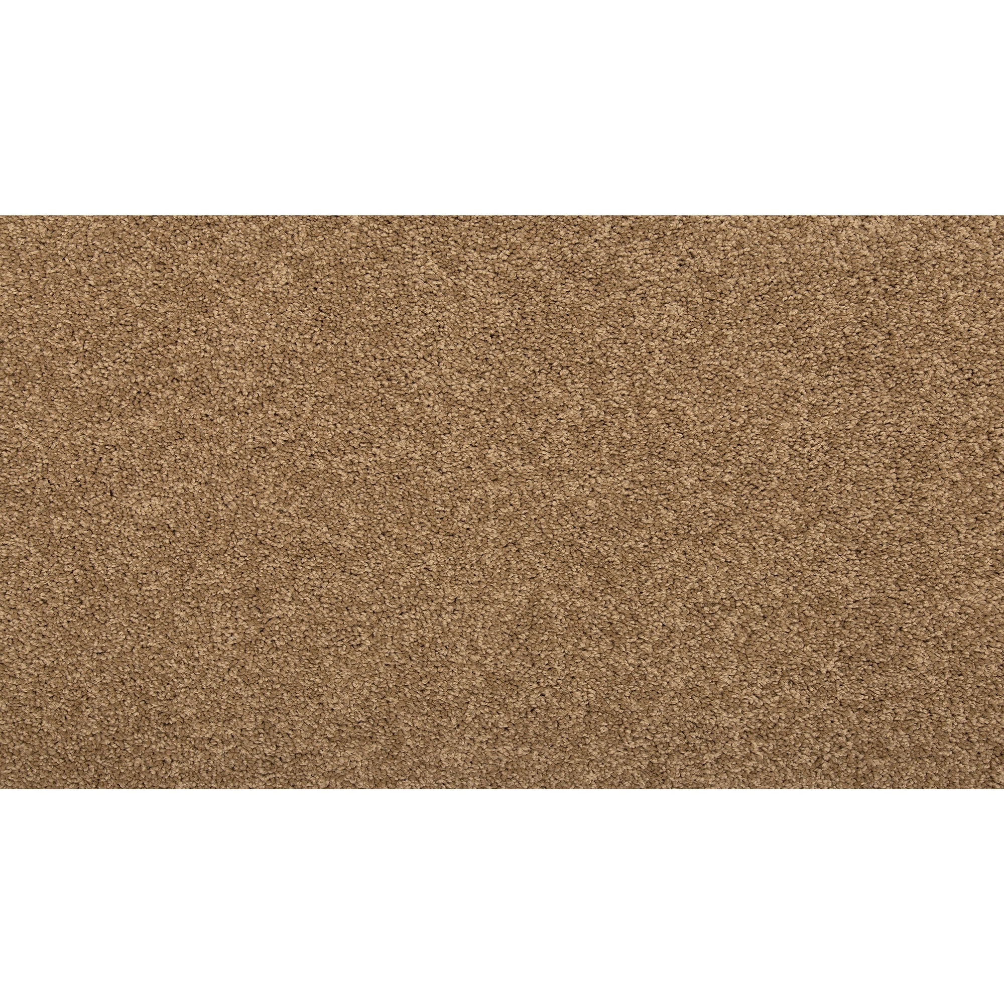  SS026-12-L005 Pro Renovations - Inspired Ace Deck Brown 29-oz sq yard Solution-dyed polyester Textured Indoor Carpet