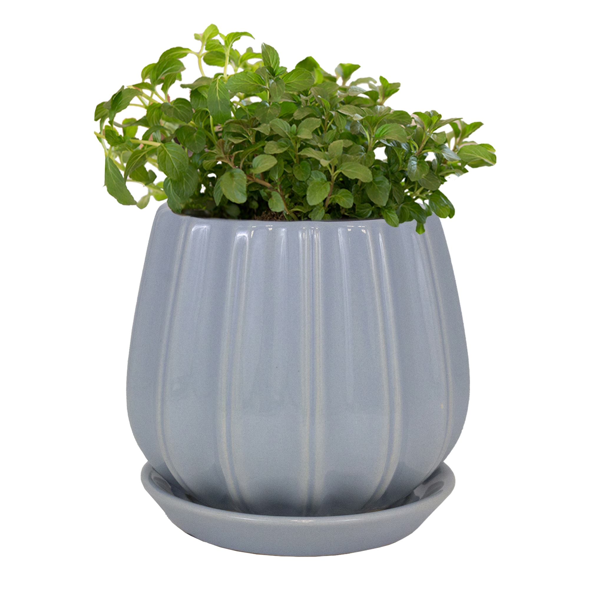 Trendspot LECR01137S-06M2S Planter-Window-Box - View #3