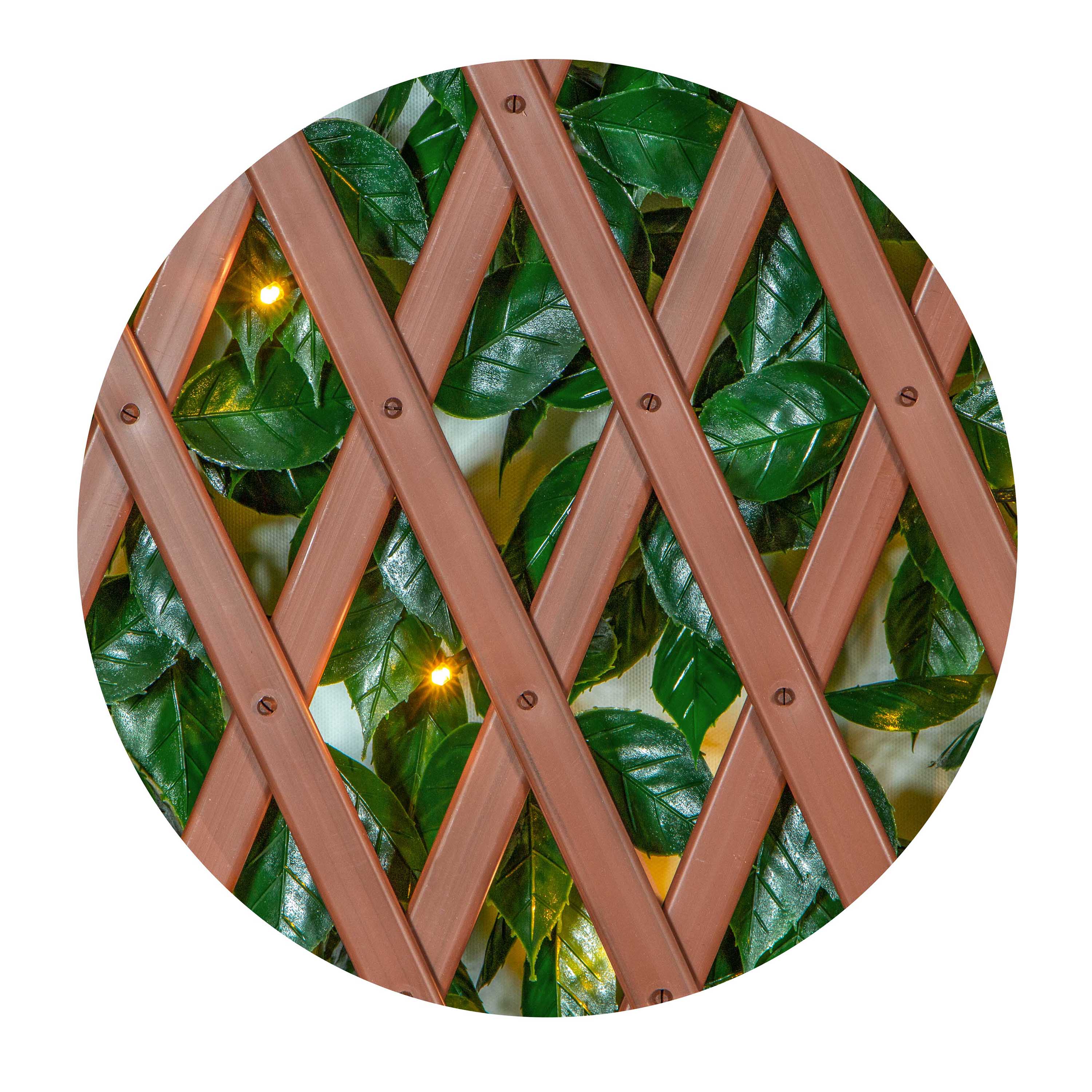 everhome LWHEDGE0442 Garden-Trellis - View #6