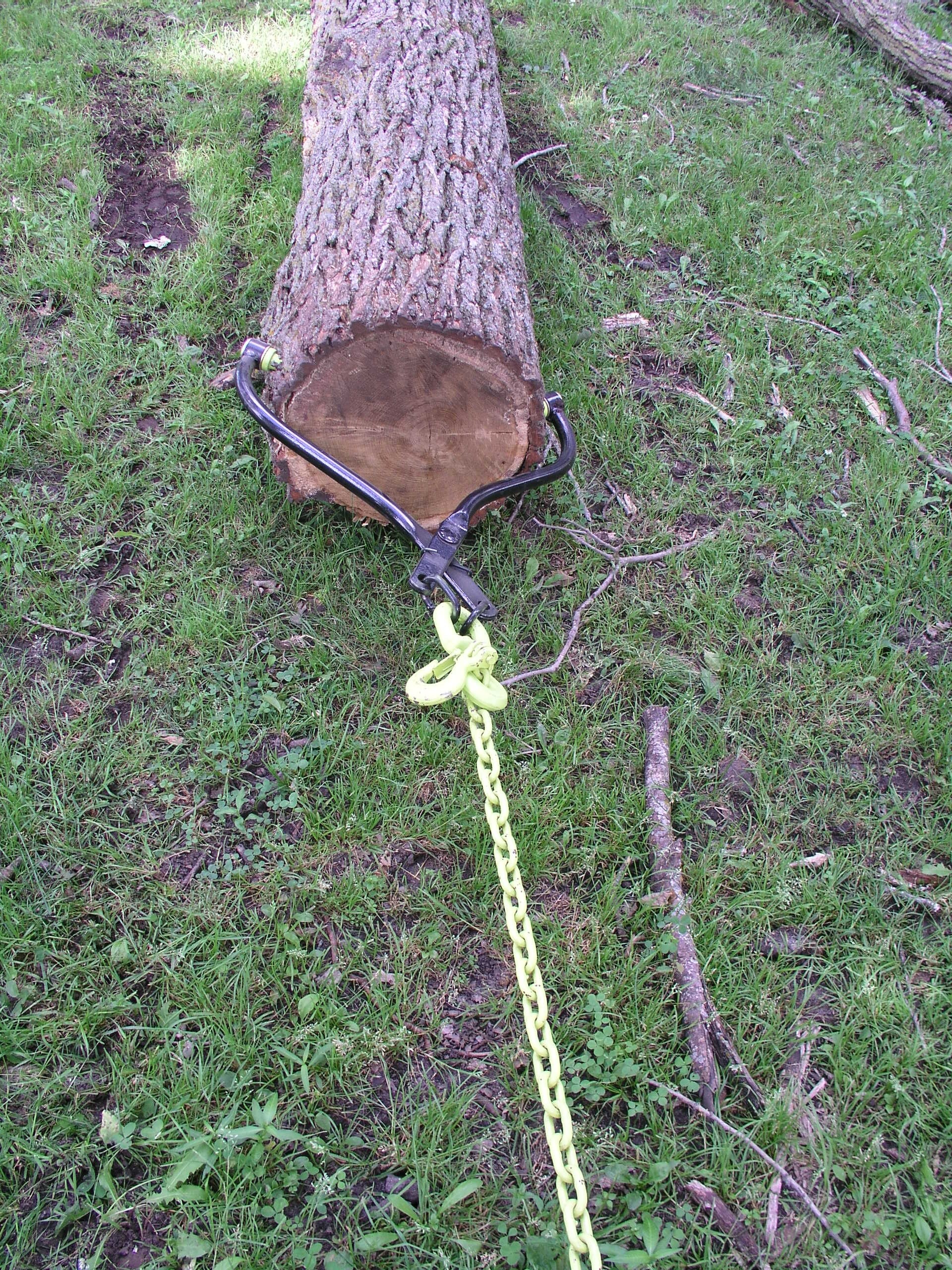 Timber Tuff TMW-28SSS Logging-Tools - View #2