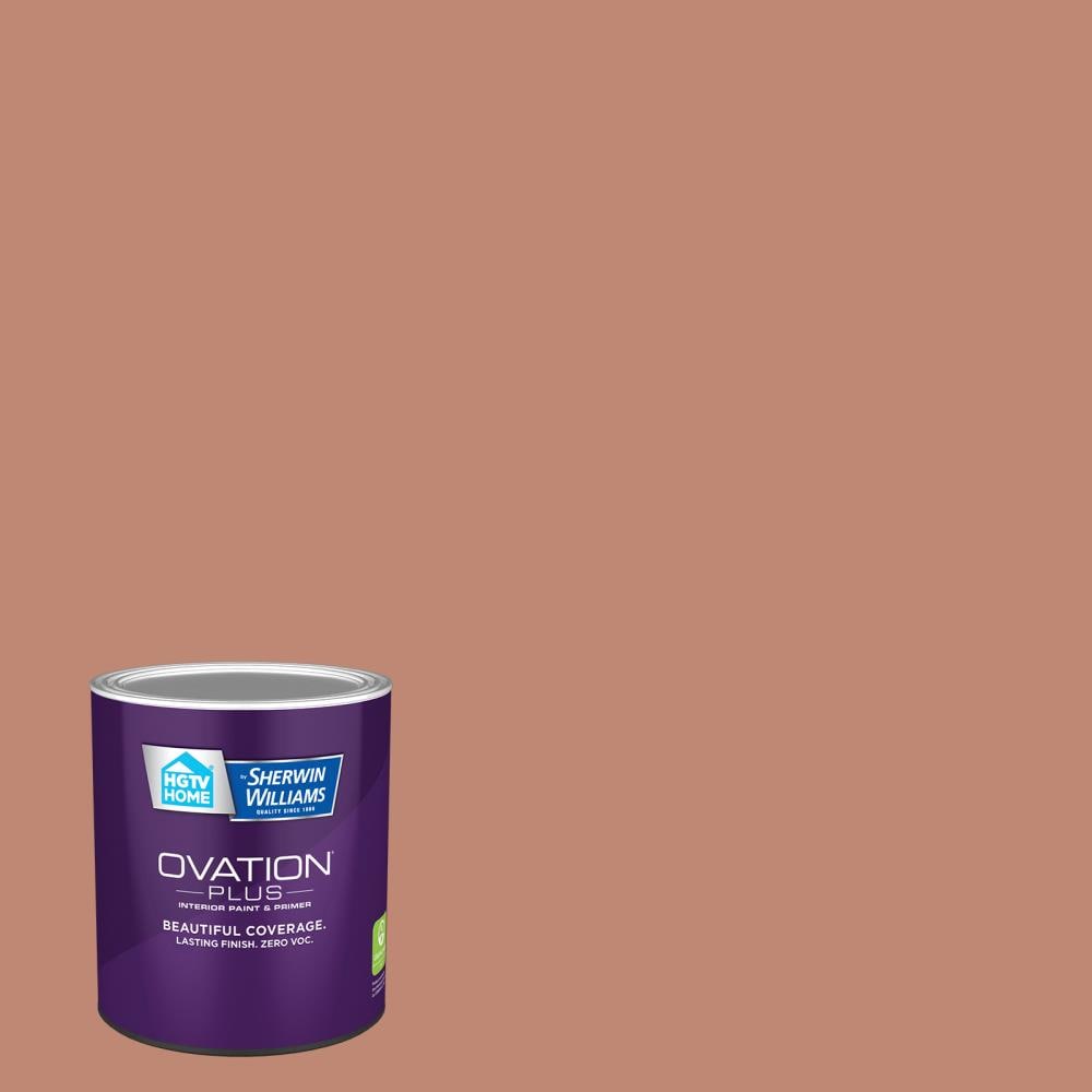 HGTV HOME by Sherwin-Williams 2003-7C-2557202 Ovation Plus Eggshell Kitchen Terra Cotta 2003-7C Latex Interior Paint Paint + Primer ( 1-quart )