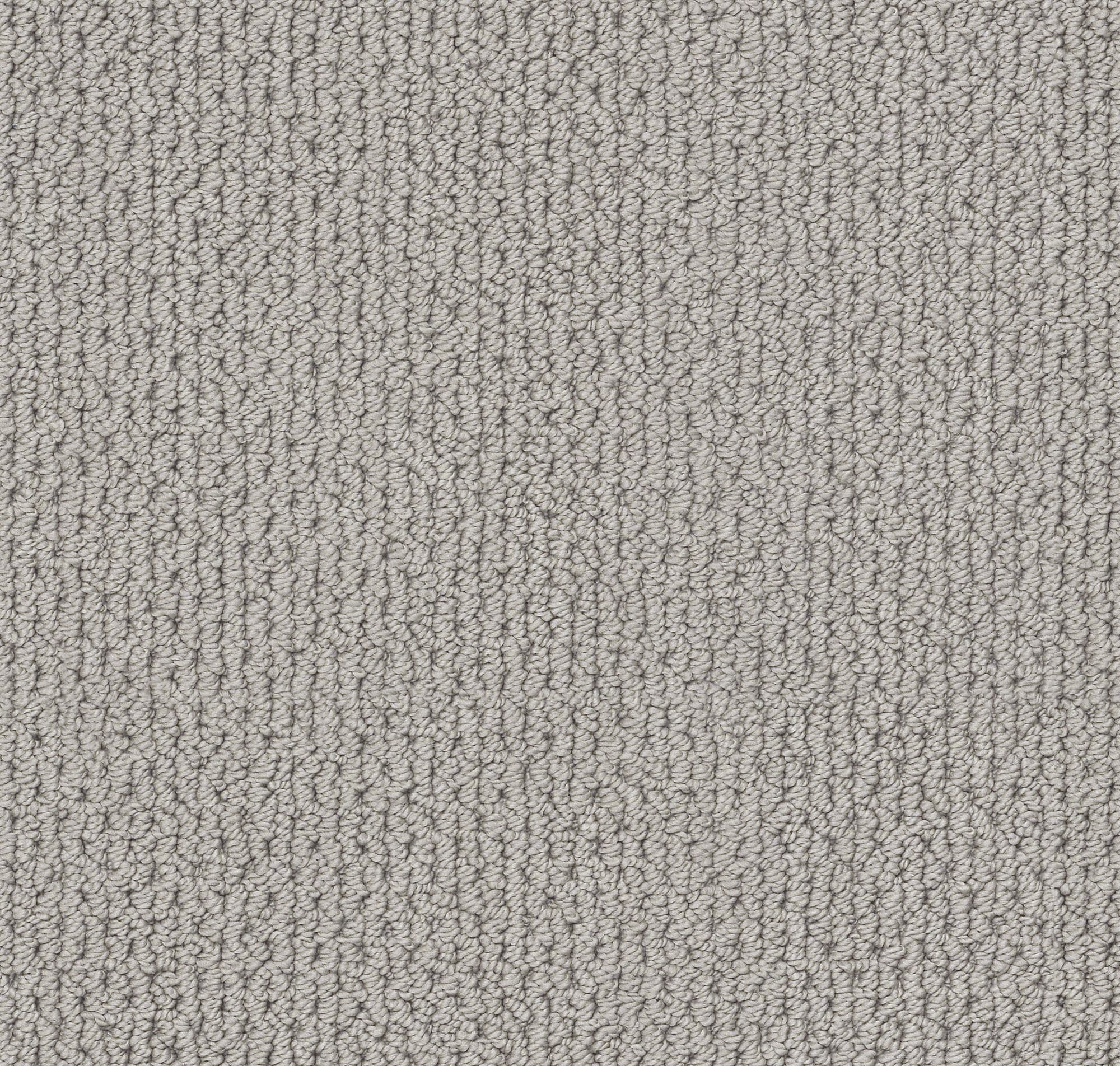 STAINMASTER 7L873 - 554 - SAMP (Sample) Regenerating Essential Gray 34.1-oz sq yard Nylon Textured Indoor Carpet