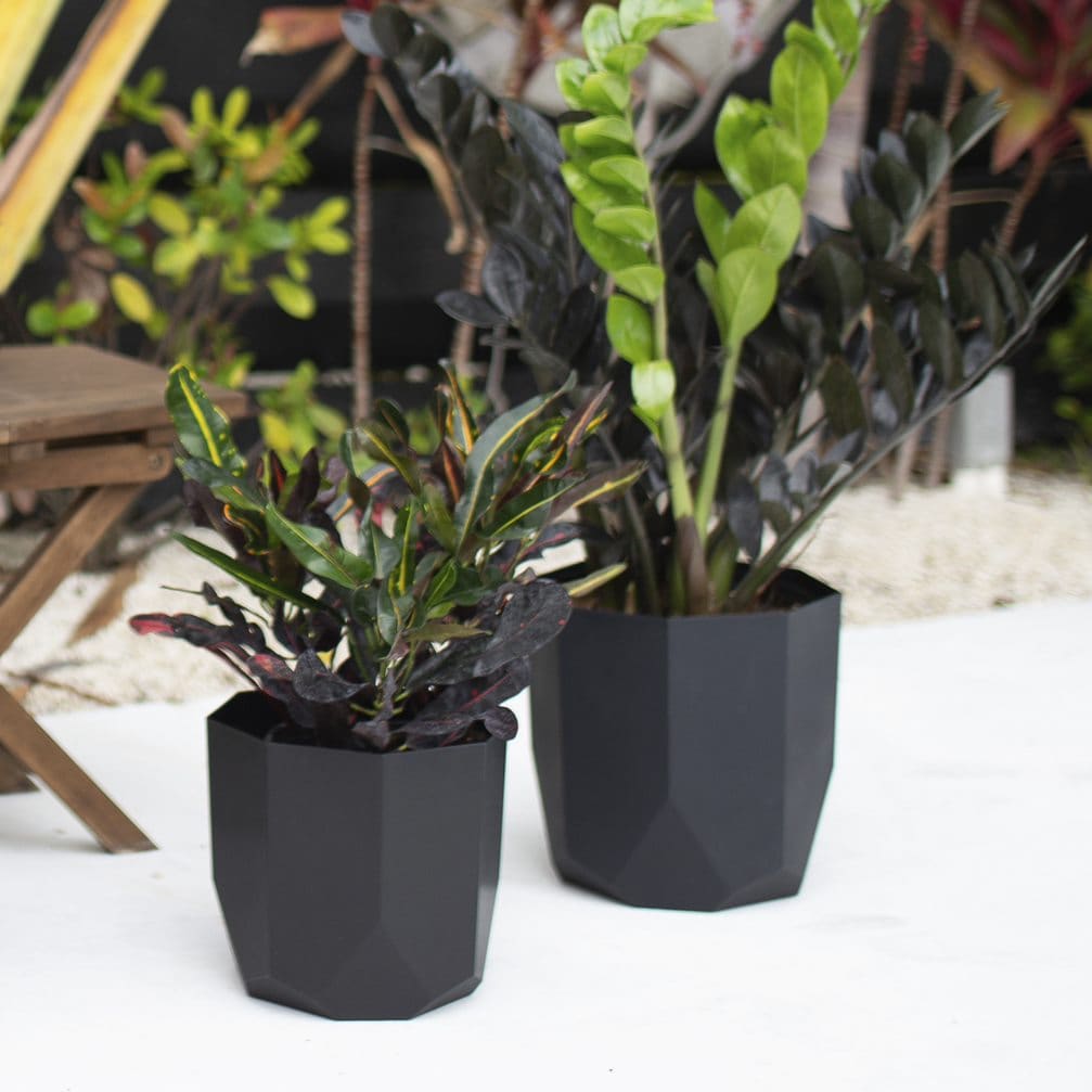 Bloem TXT1000 Planter-Window-Box - View #6
