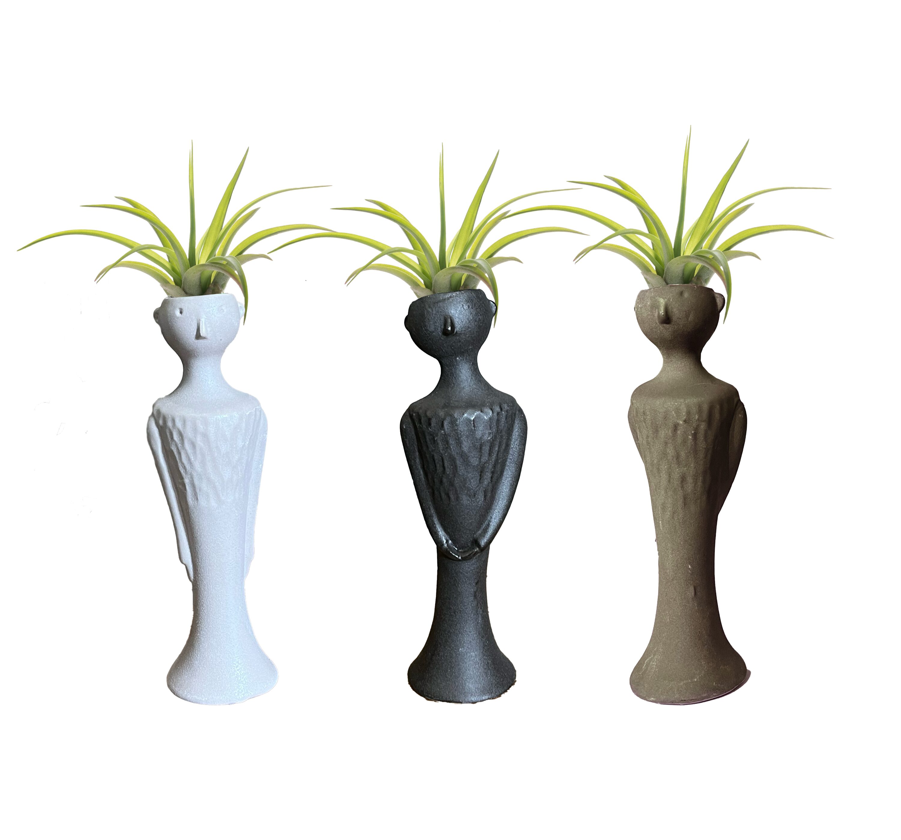 LiveTrends AKSMTILLY AK Small Tillies House plant in 1 -Pack Pot 1 -Pack