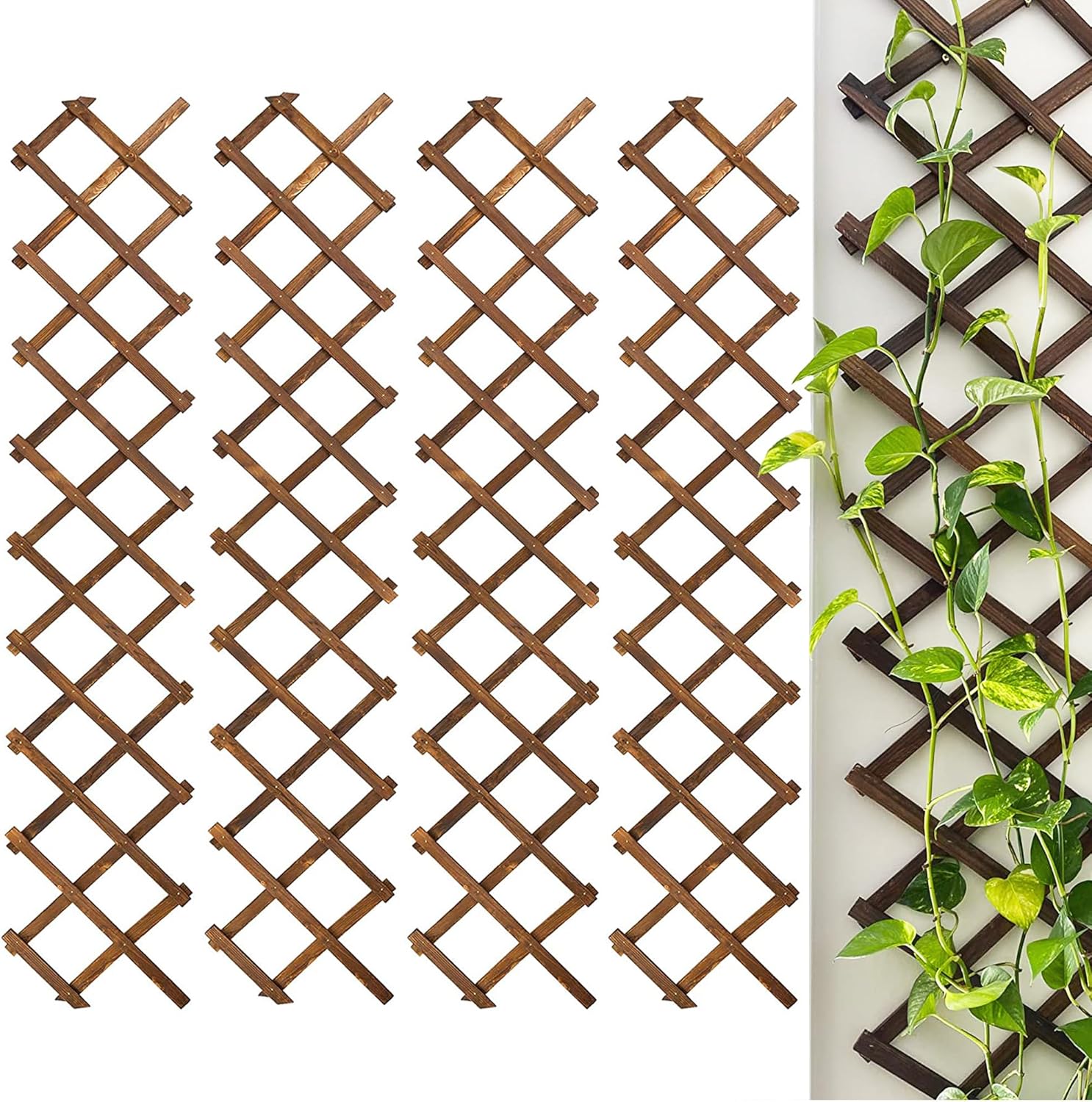 MaseiKar Wooden Lattice Wall 4Pack - Expandable Plant Garden Trellis for Climbing Plants Outdoor Air Plant Vertical Rack Wall Decor for Room Patio