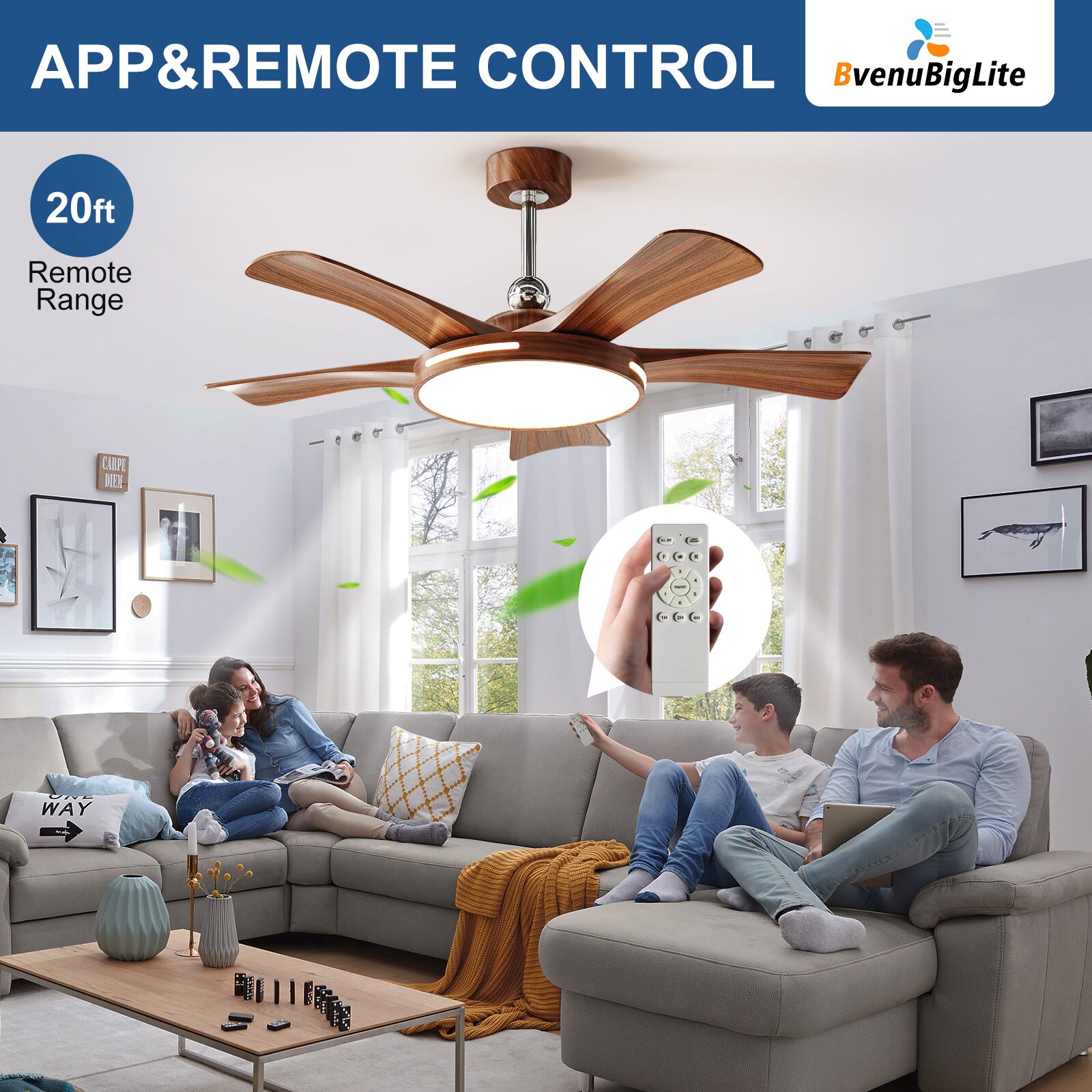 Dovanpaul 230-46B-BR Ceiling-Fans - View #4