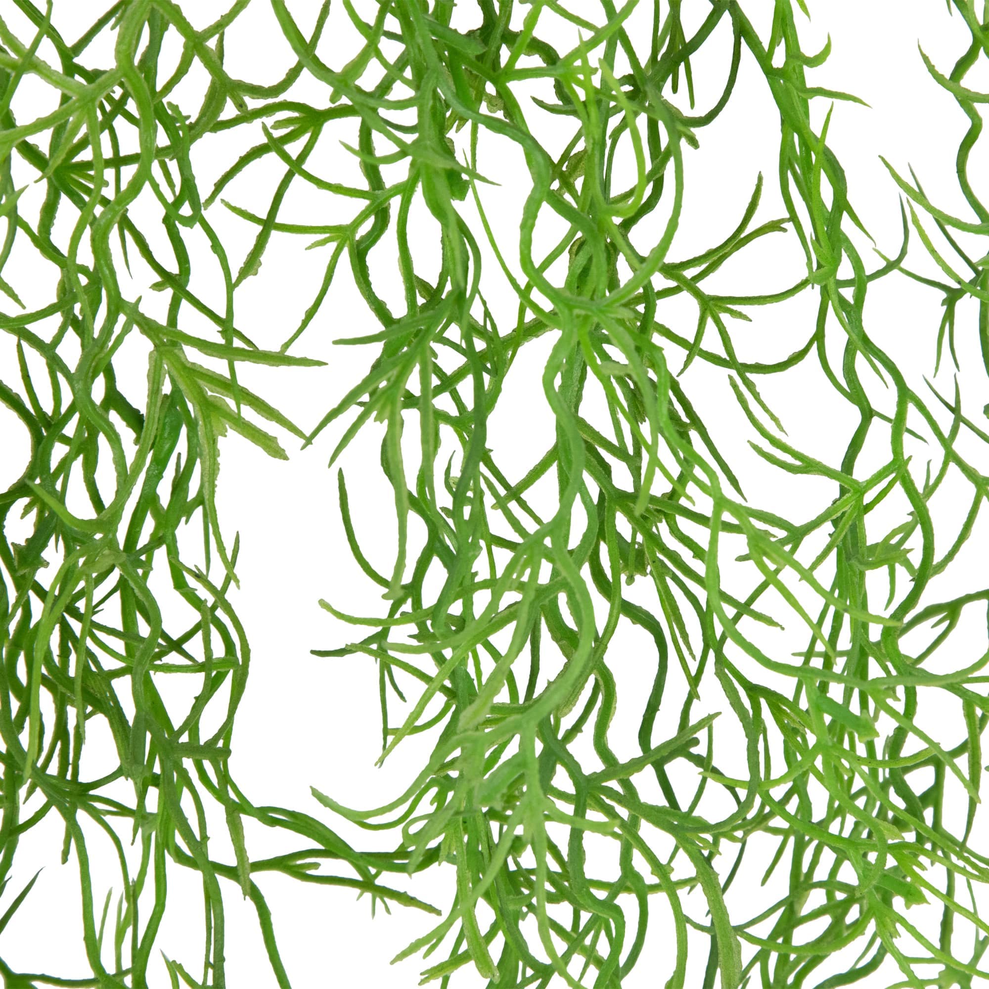 Northlight NORTHLIGHT SM99502 Artificial-Plants-Trees - View #5