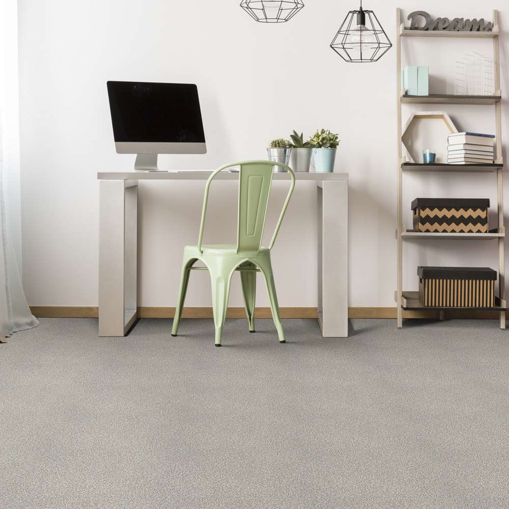 STAINMASTER 7L797-512T-SAMP Carpet-Samples - View #4
