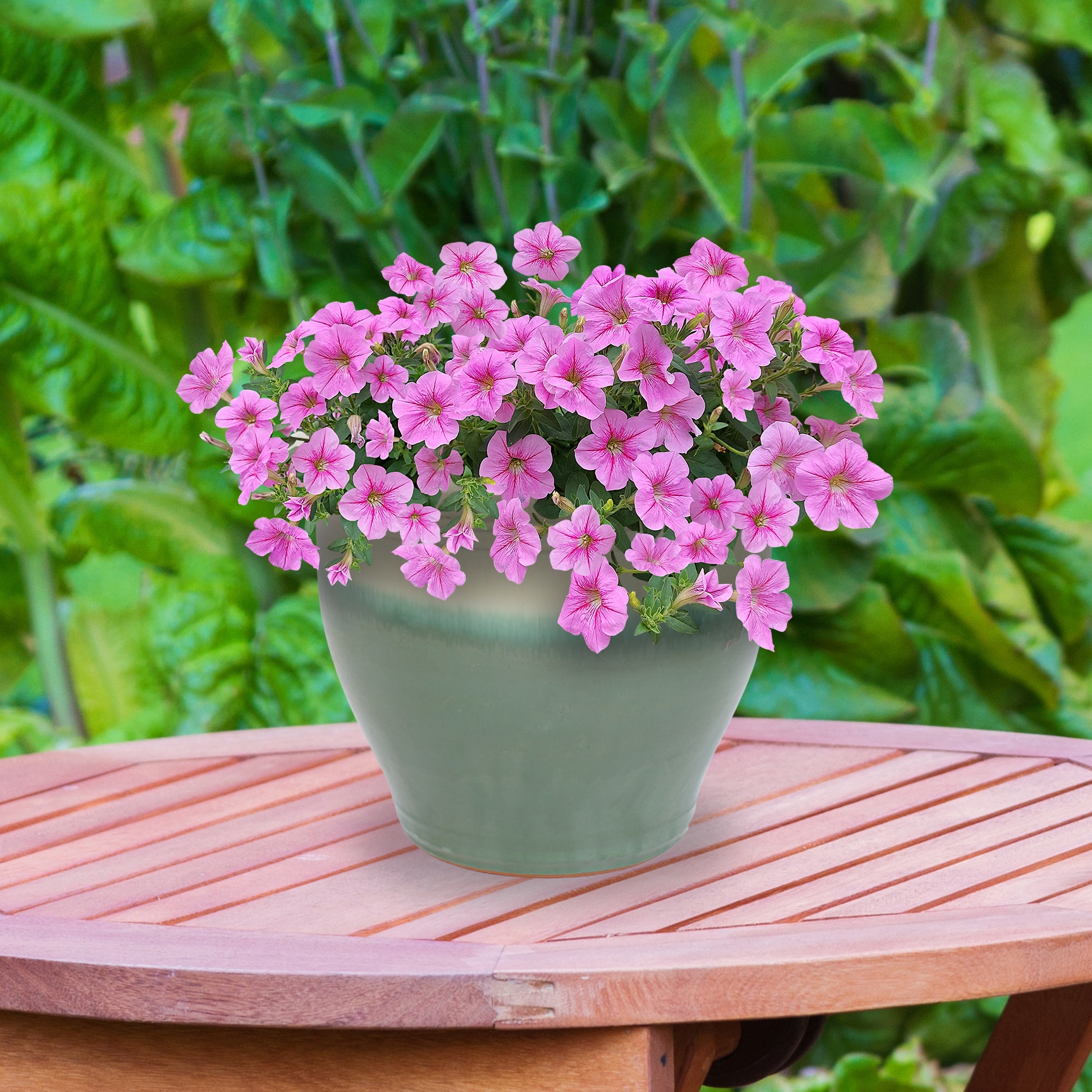 Sunnydaze Decor AP-940 Planter-Window-Box - View #10