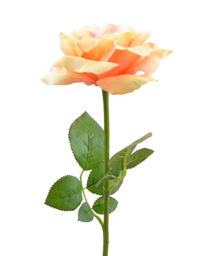 Rose Artificial Plants & Flowers at