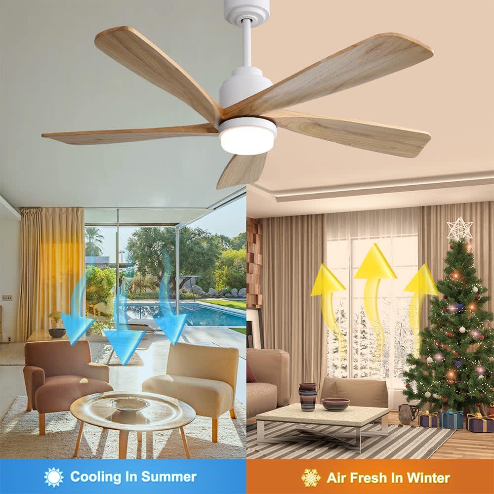 JUJABU FAN-3 Ceiling-Fans - View #5