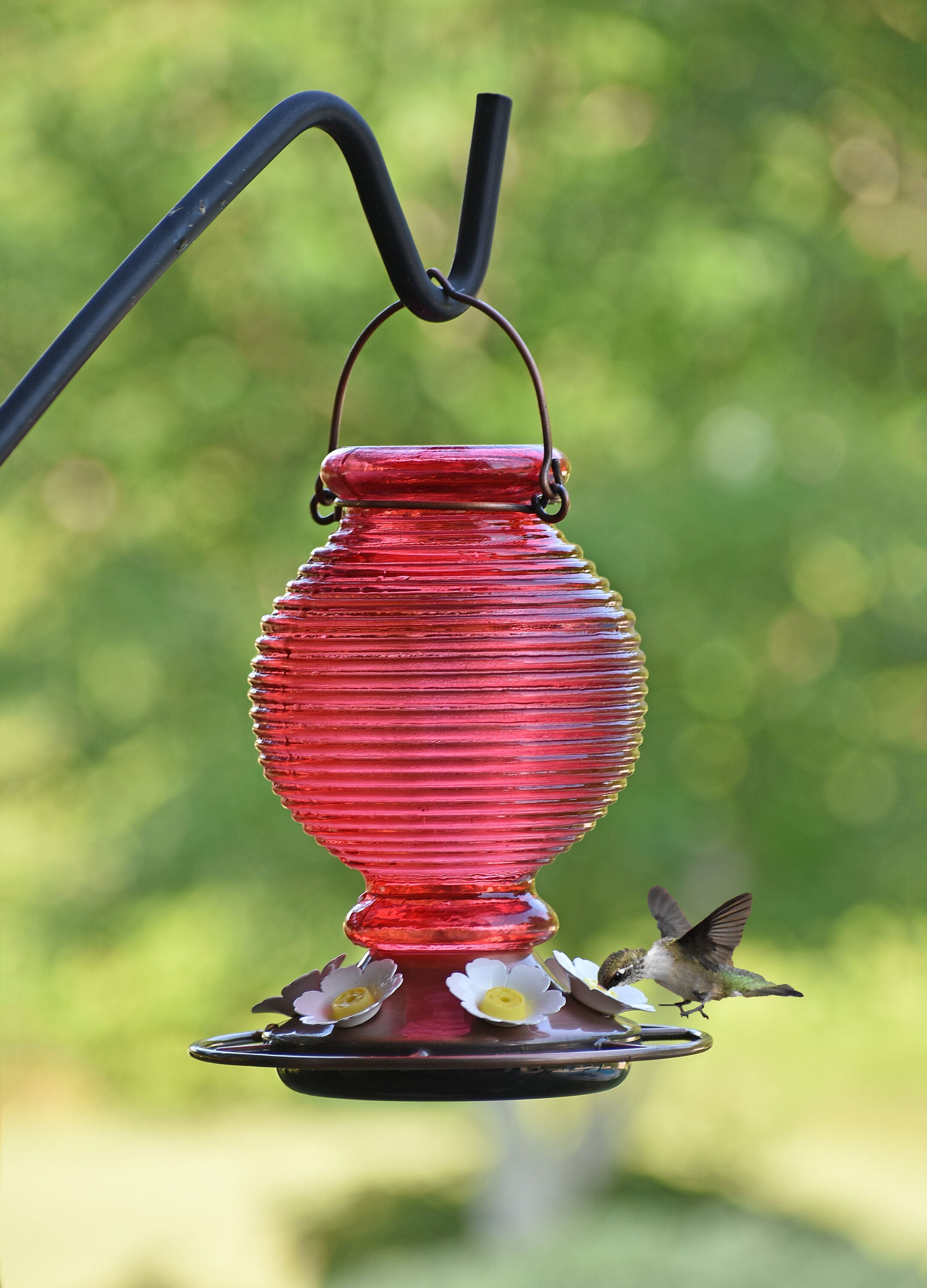 Style Selections 01-1207-30-15 Bird-Feeders - View #7