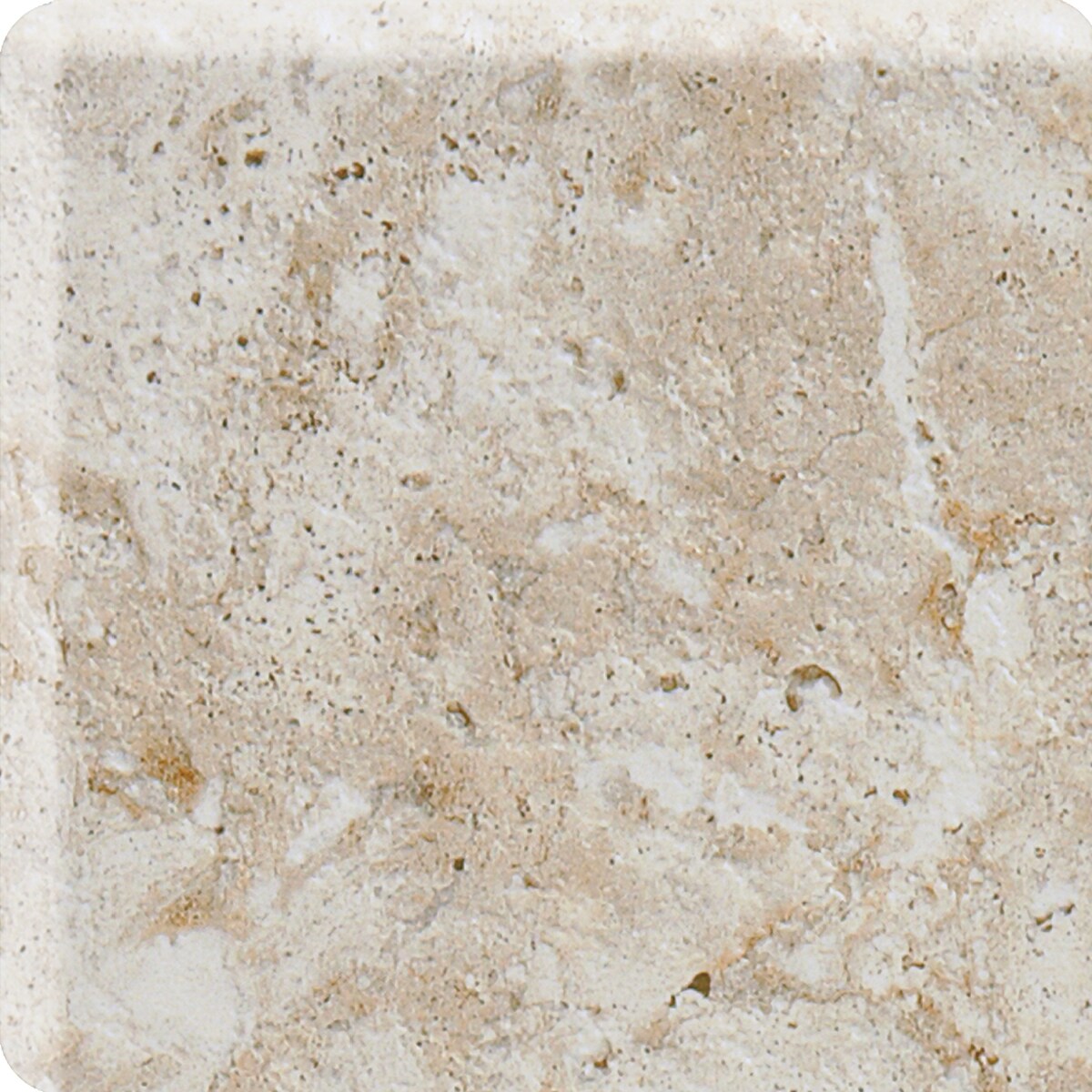 American Olean Bordeaux Creme Ceramic Bullnose Tile (4-in x 8-1/2-in)