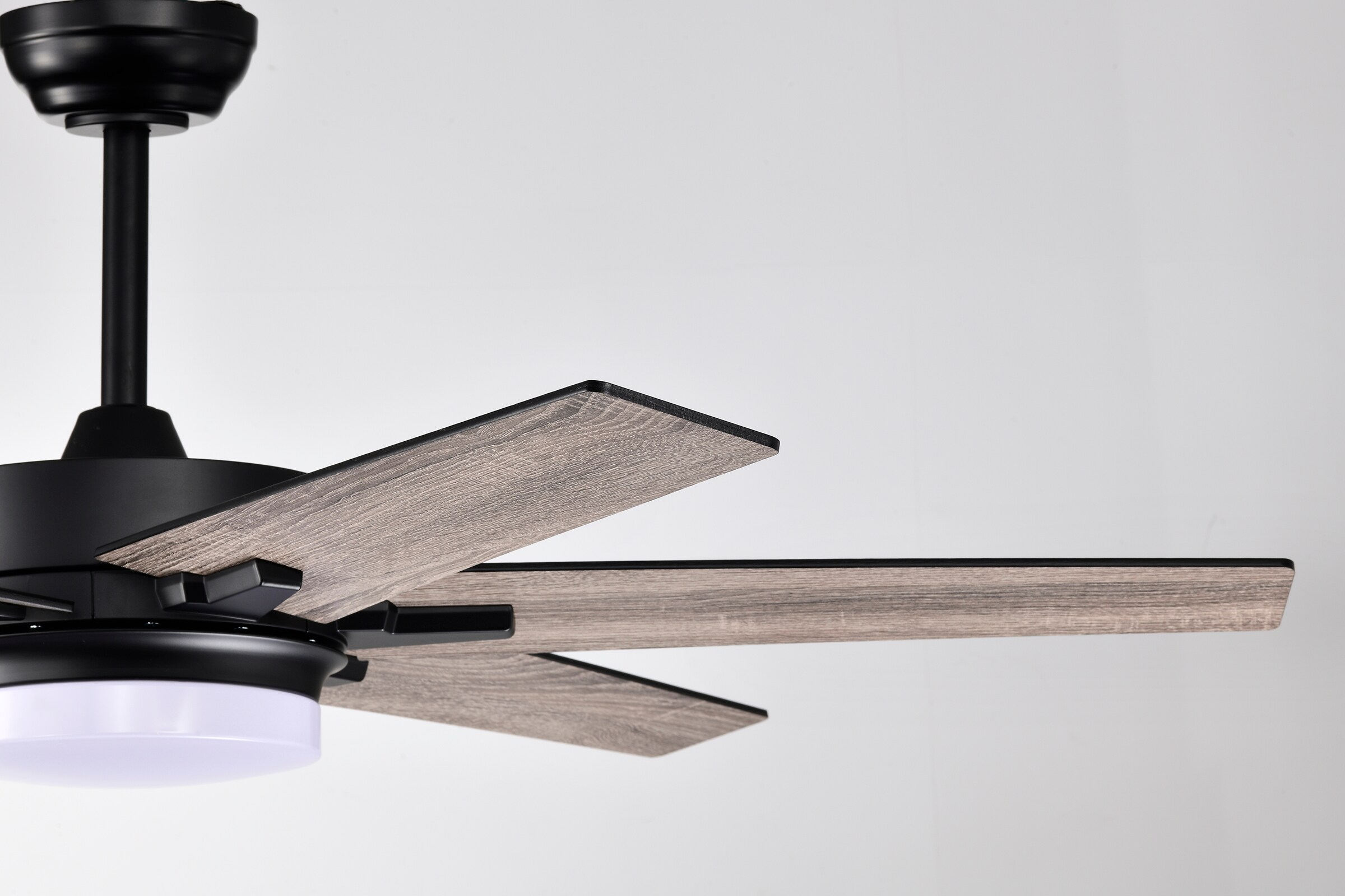 Edvivi FFG7625BK Ceiling-Fans - View #12