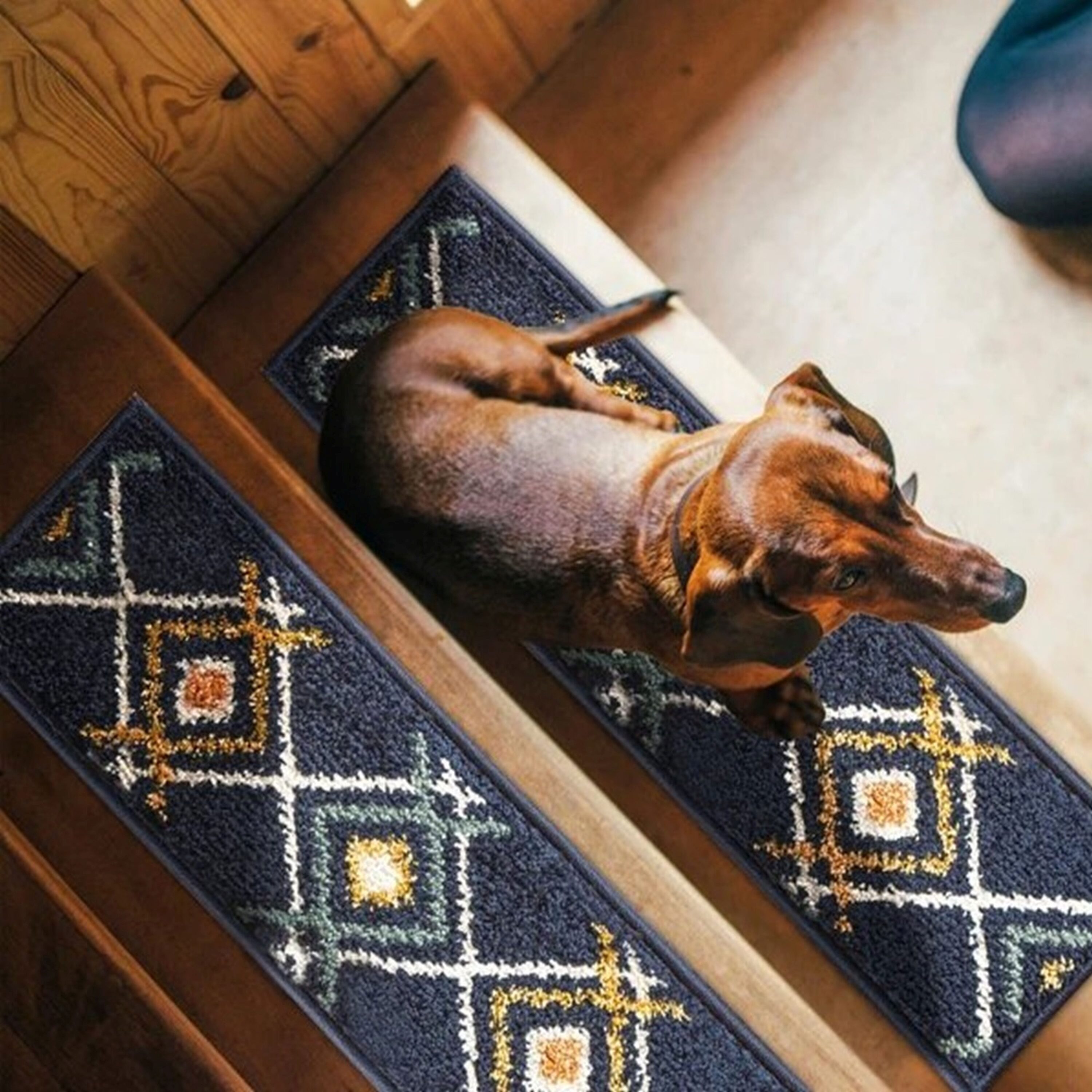 The Sofia Rugs STAIR-59A-BL-10 rugs - View #3
