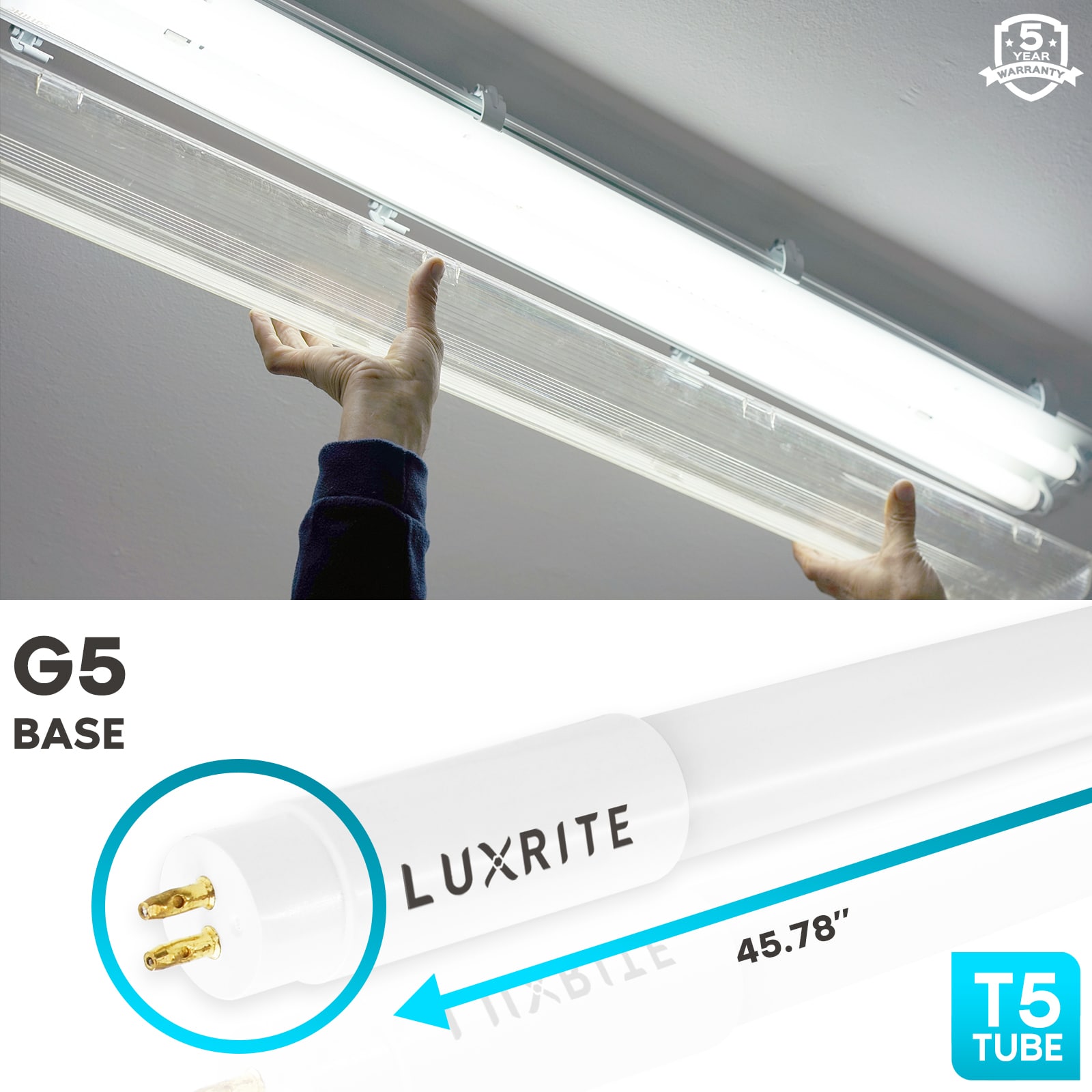 Luxrite EQ T5 Bright Miniature Bi-pin (T5) LED Light Bulb in Tube Light Bulbs at Lowes.com