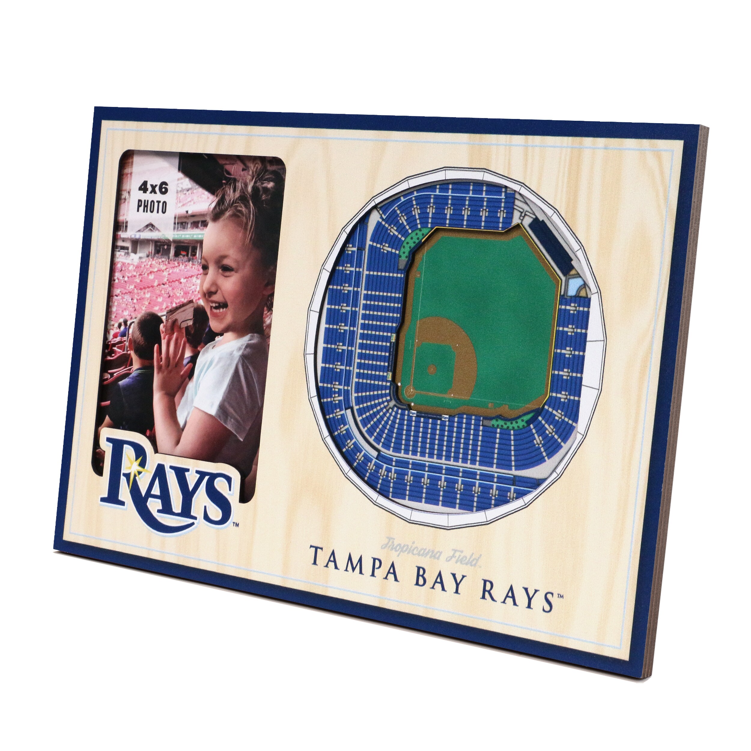 StadiumViews Tampa Bay Rays Team Colors Wood Picture Frame (8-in x