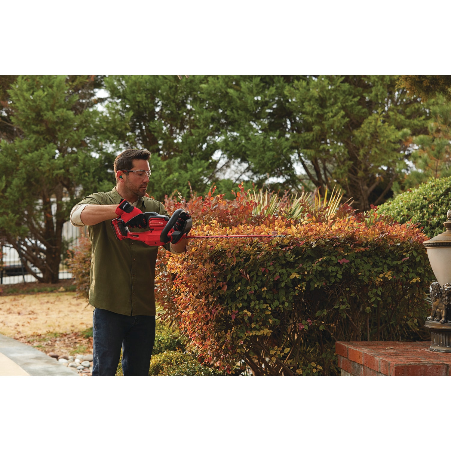 Craftsman cordless hedge trimmer tool online only