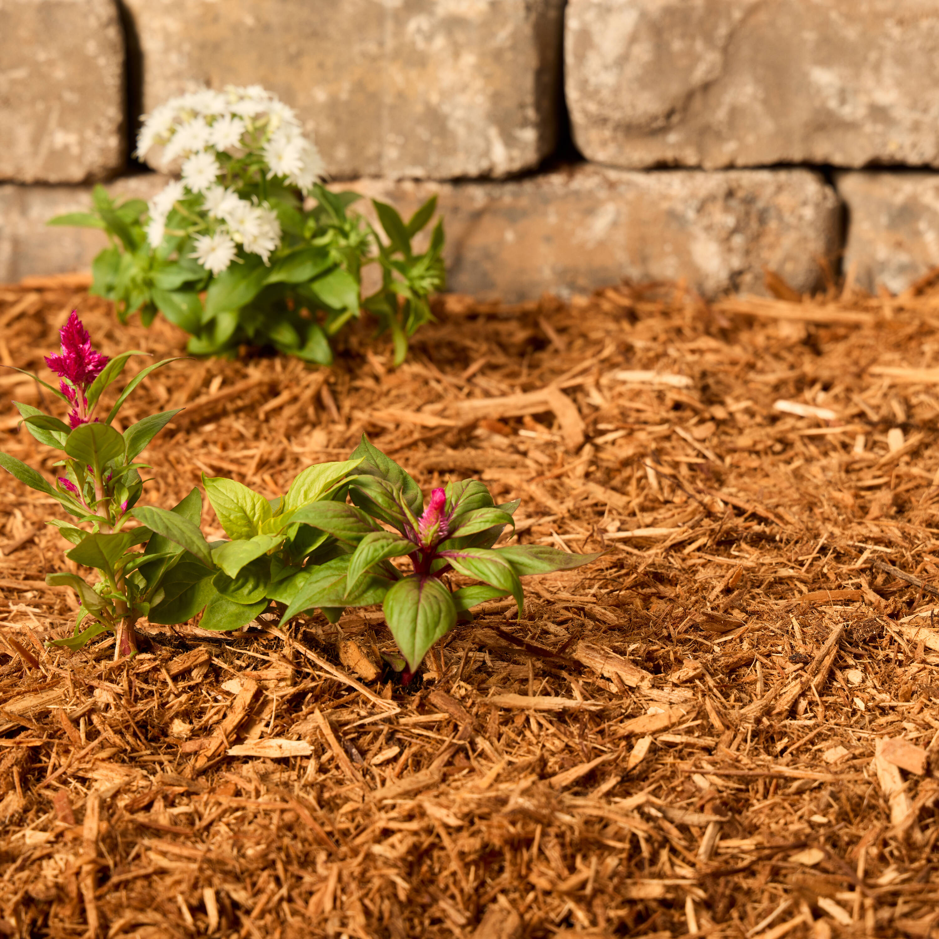  112E Bagged-Mulch - View #10