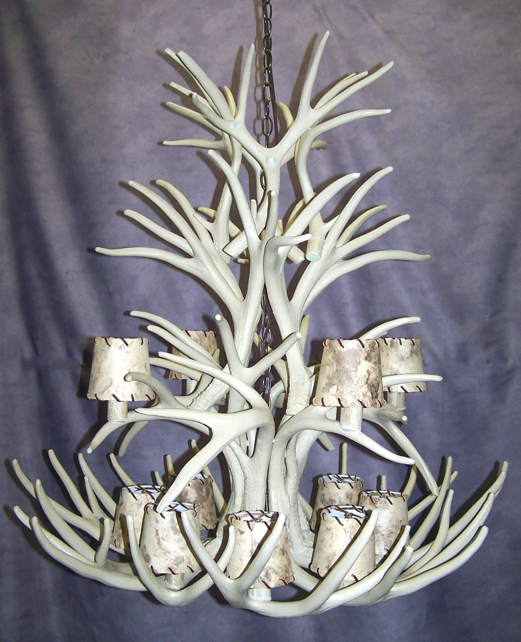 Canadian Antler Design CLR-8-XL-W b090015 - View #9