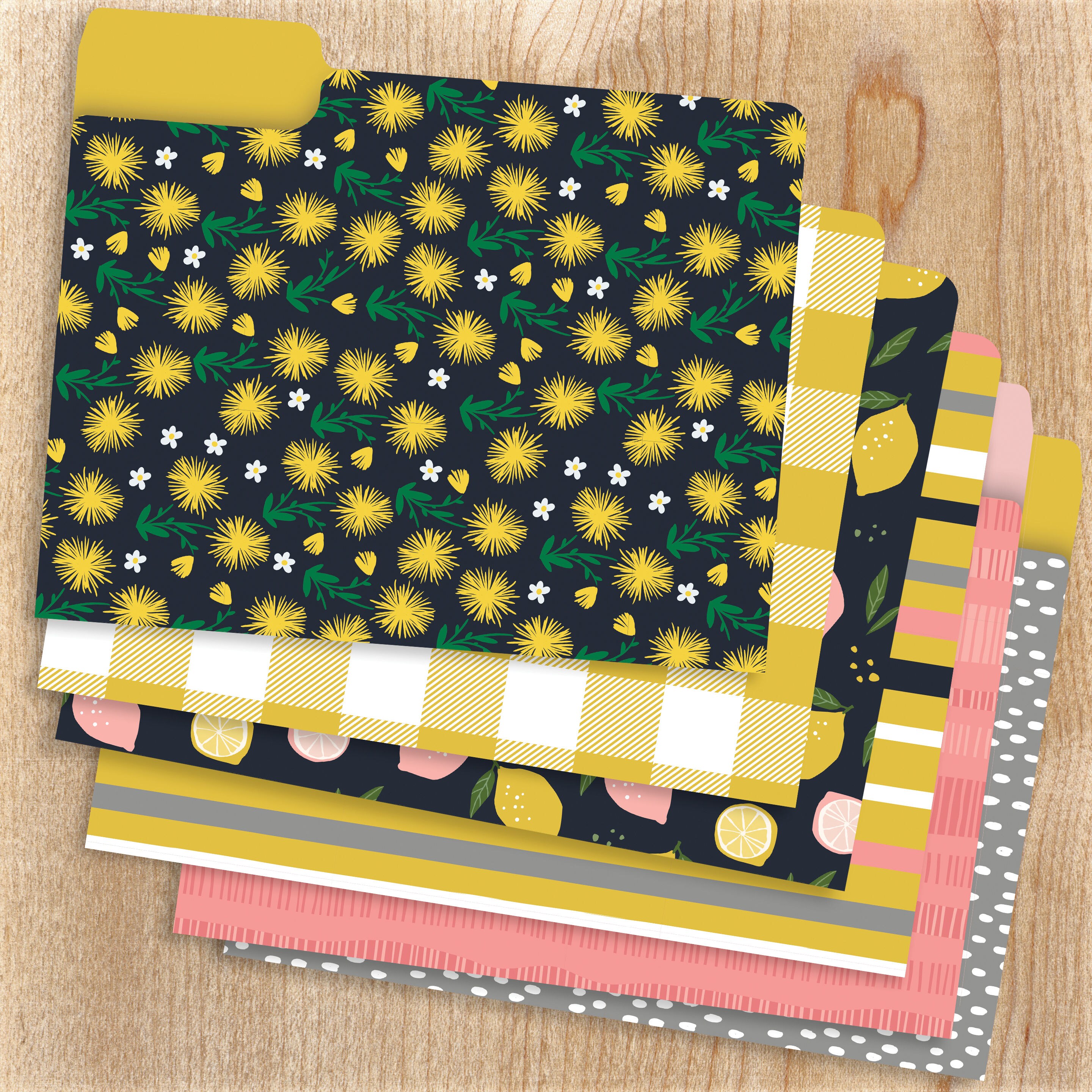 TF Publishing 99-4005 Joy Designer Set of 12 Decorative File Folders