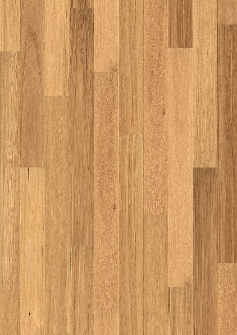 Flooors by LTL HAFLRS9384 Hardwood-Flooring-Samples - View #3