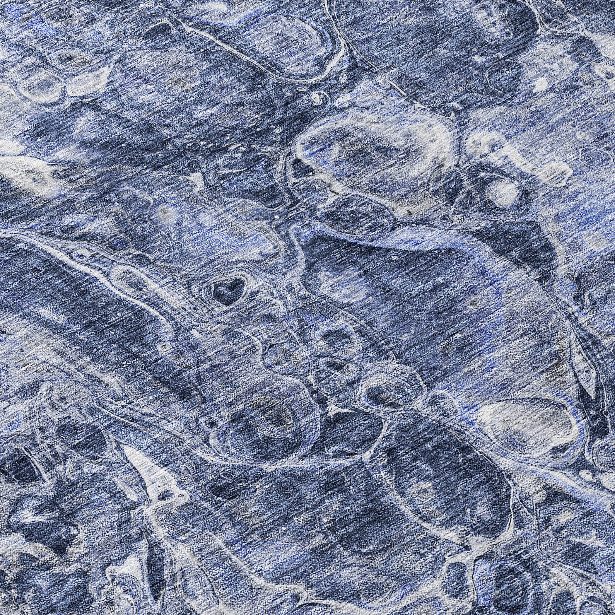 Addison Rugs ACN670NA10X14 rugs - View #3