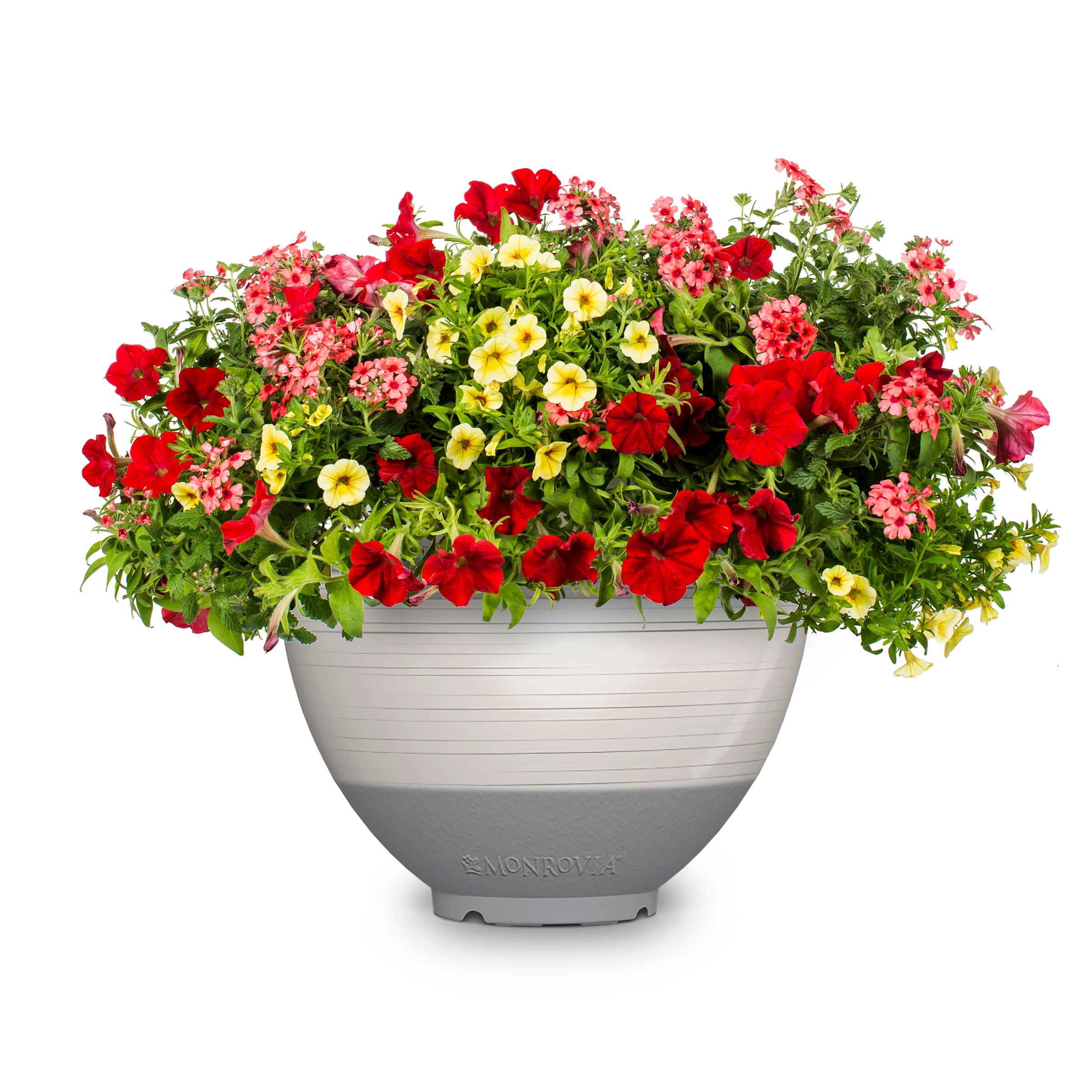 Lowe's 2896466 Multicolor Mixed Annuals Combinations in 3 Gallon(s) Planter