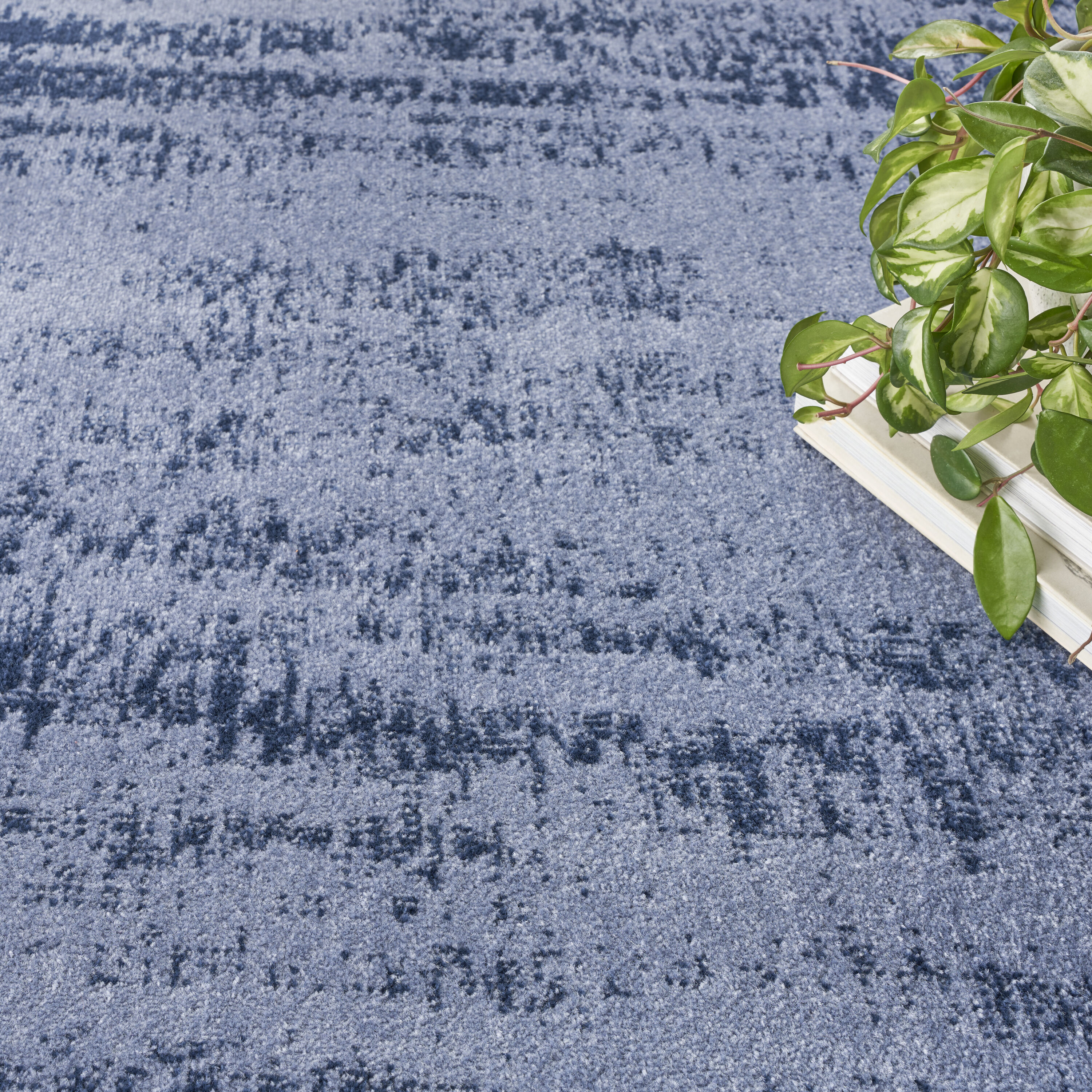 Nourison 099446149978 rugs - View #3